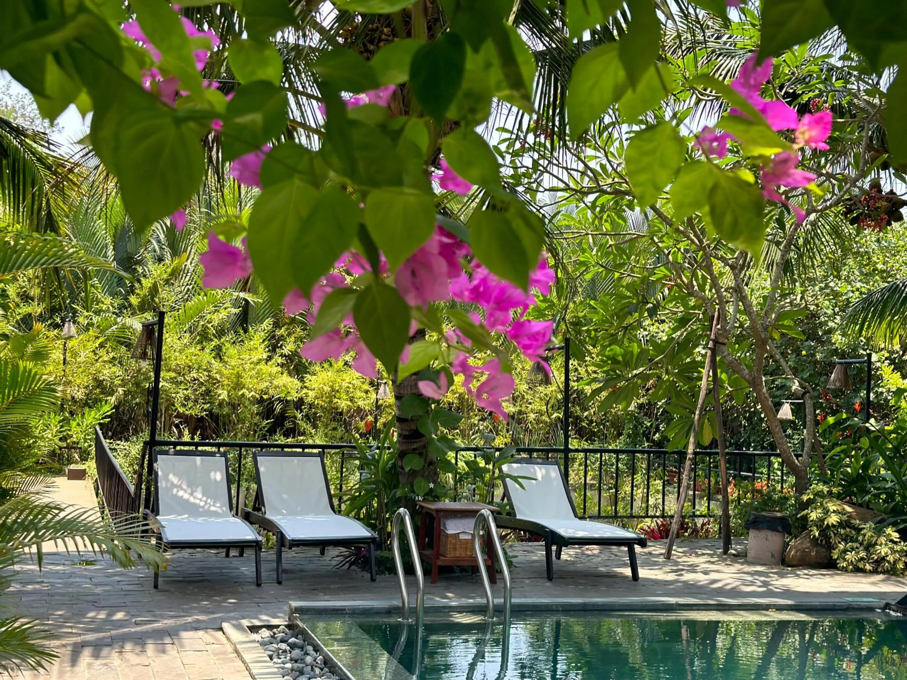 Natural landscape in Mayci Eco Boutique Hotel Hoi An