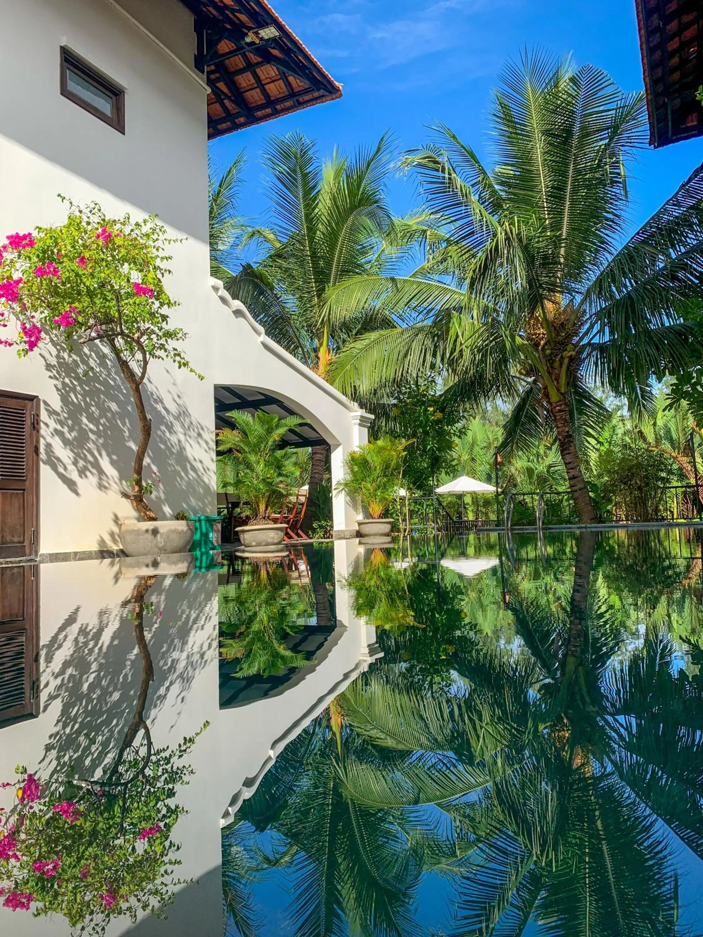 Spring in Mayci Eco Boutique Hotel Hoi An