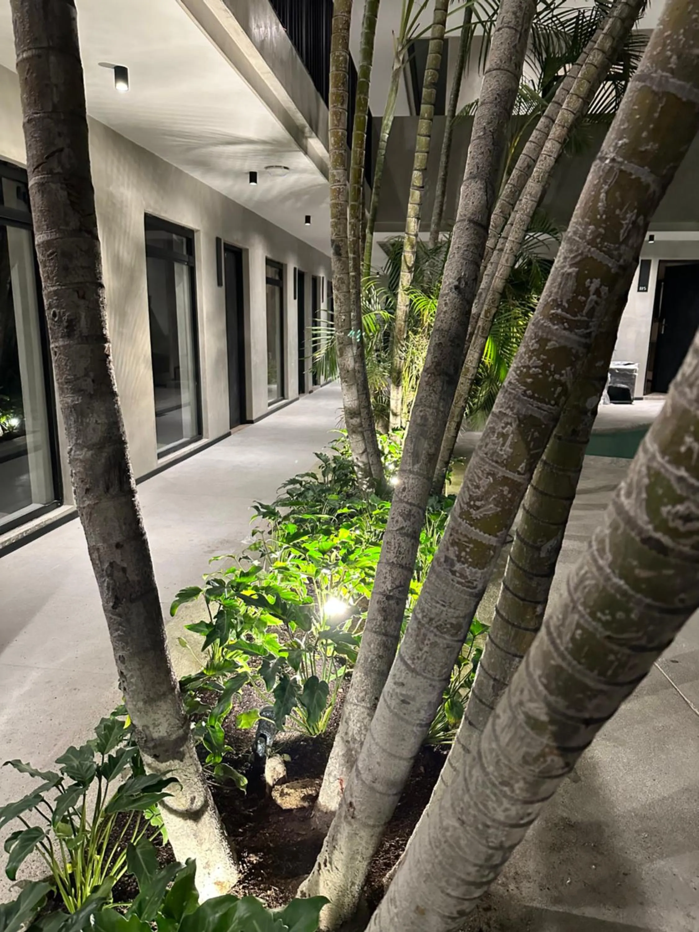 Garden in ALCALÀ EXPO