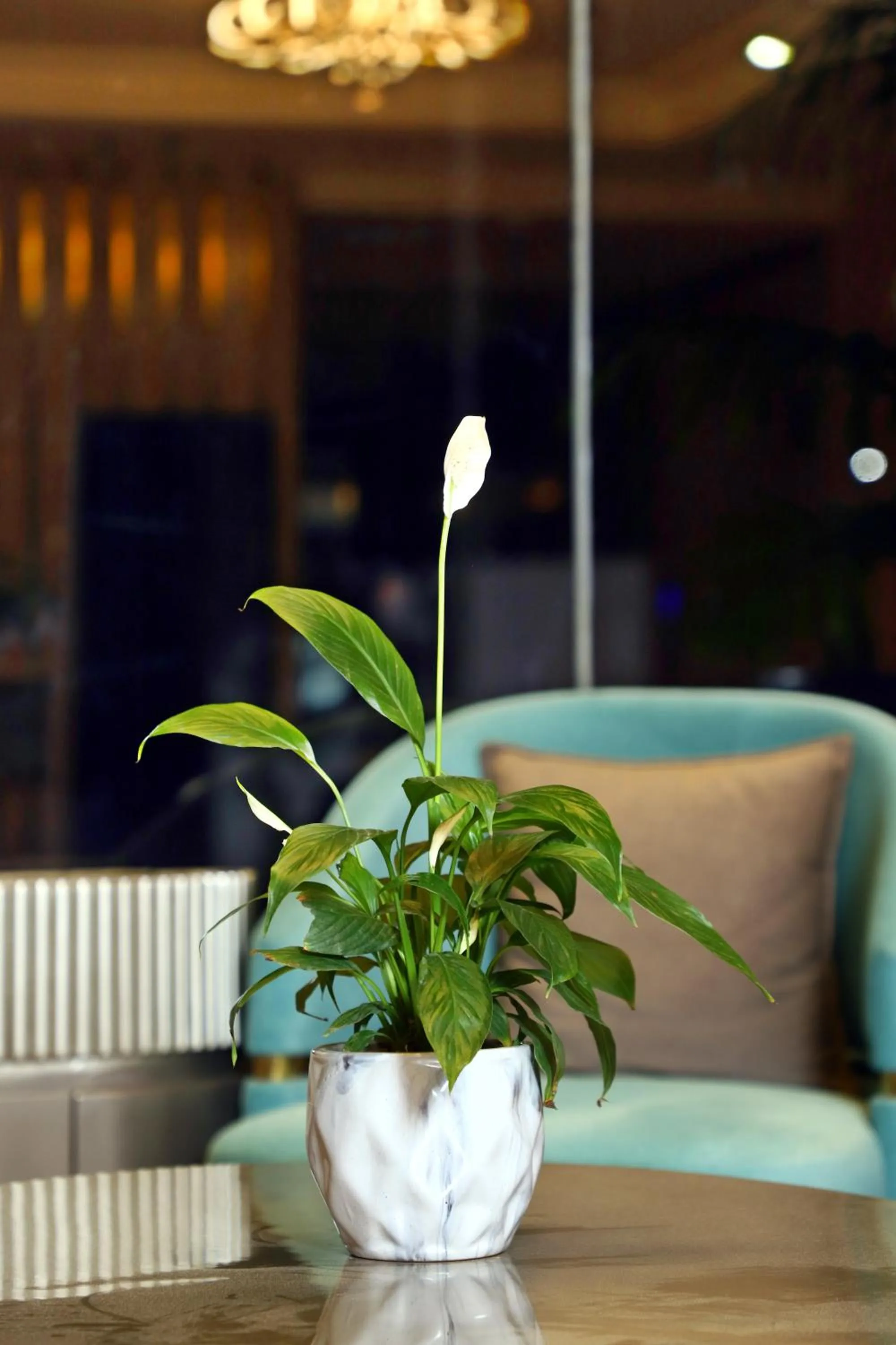 Decorative detail in BluSalzz Residence Amritsar