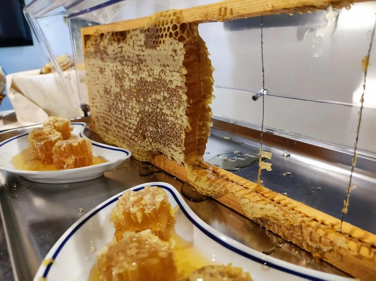 Food and drinks in Hotel Hieracon