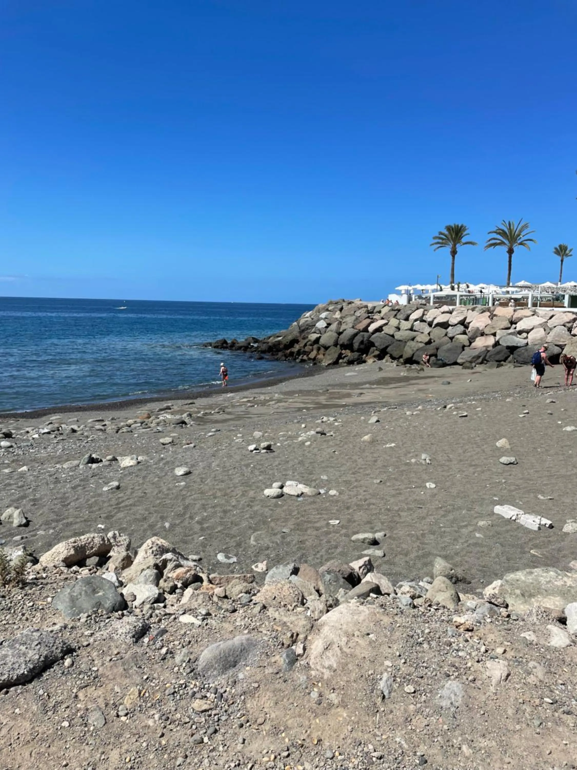 Natural landscape in PURA VIDA Beach Suite