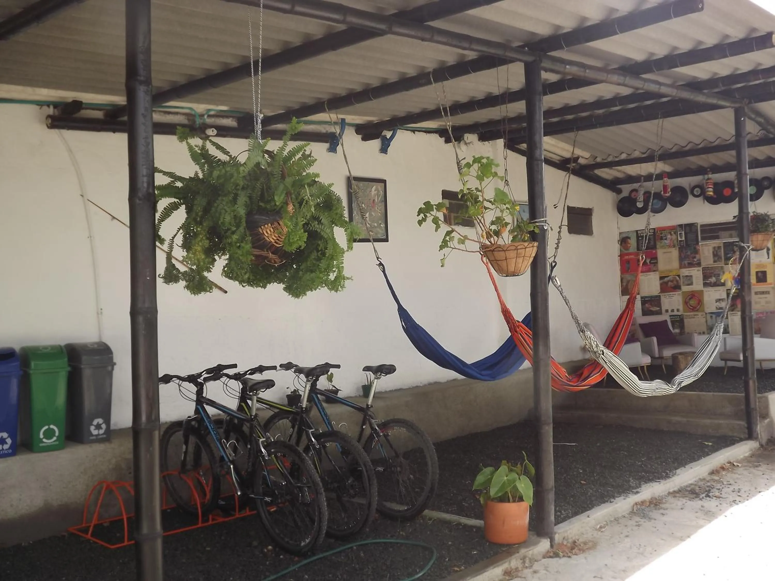 Entertainment in El ZORZAL