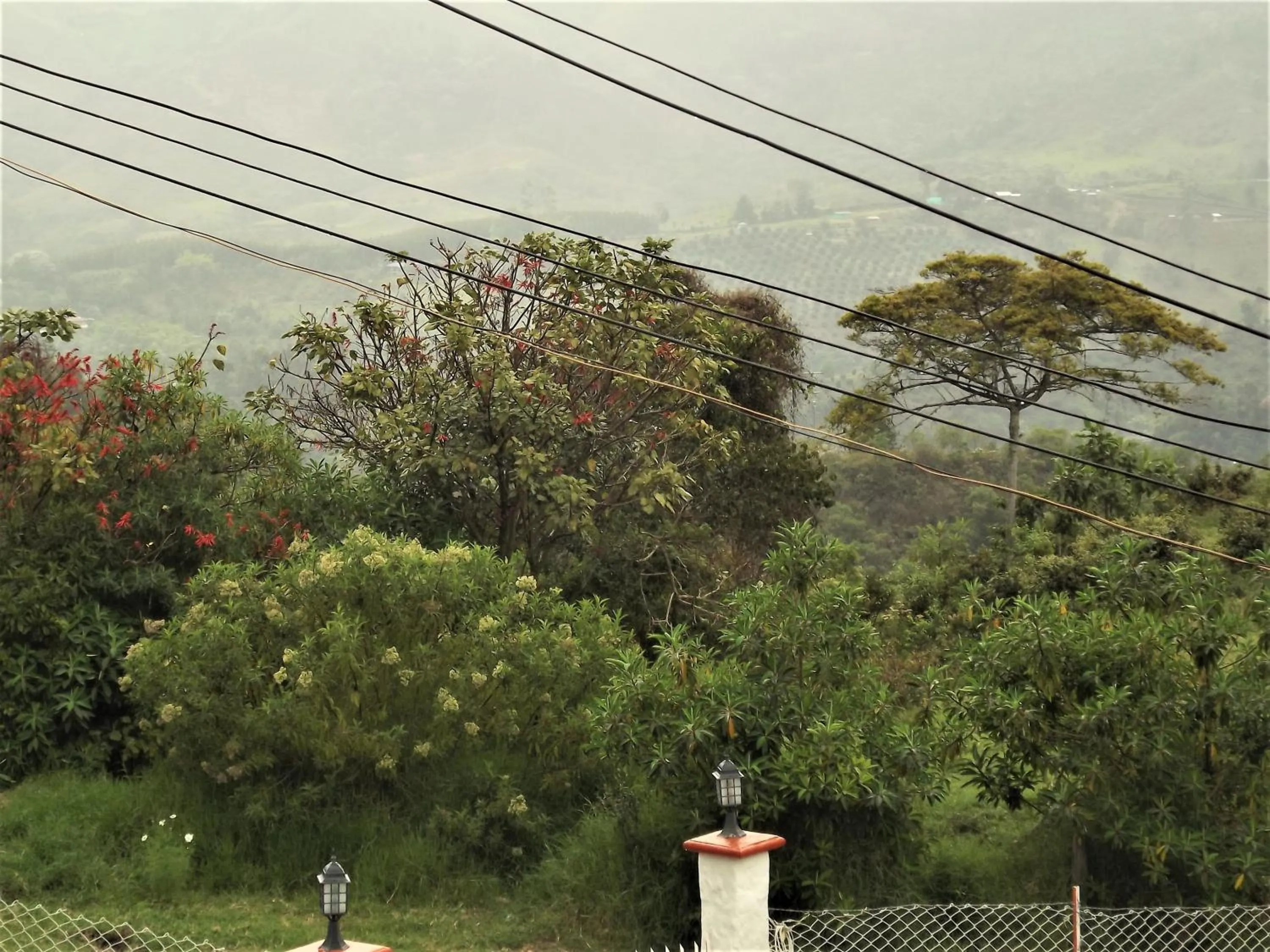 Natural landscape in El ZORZAL