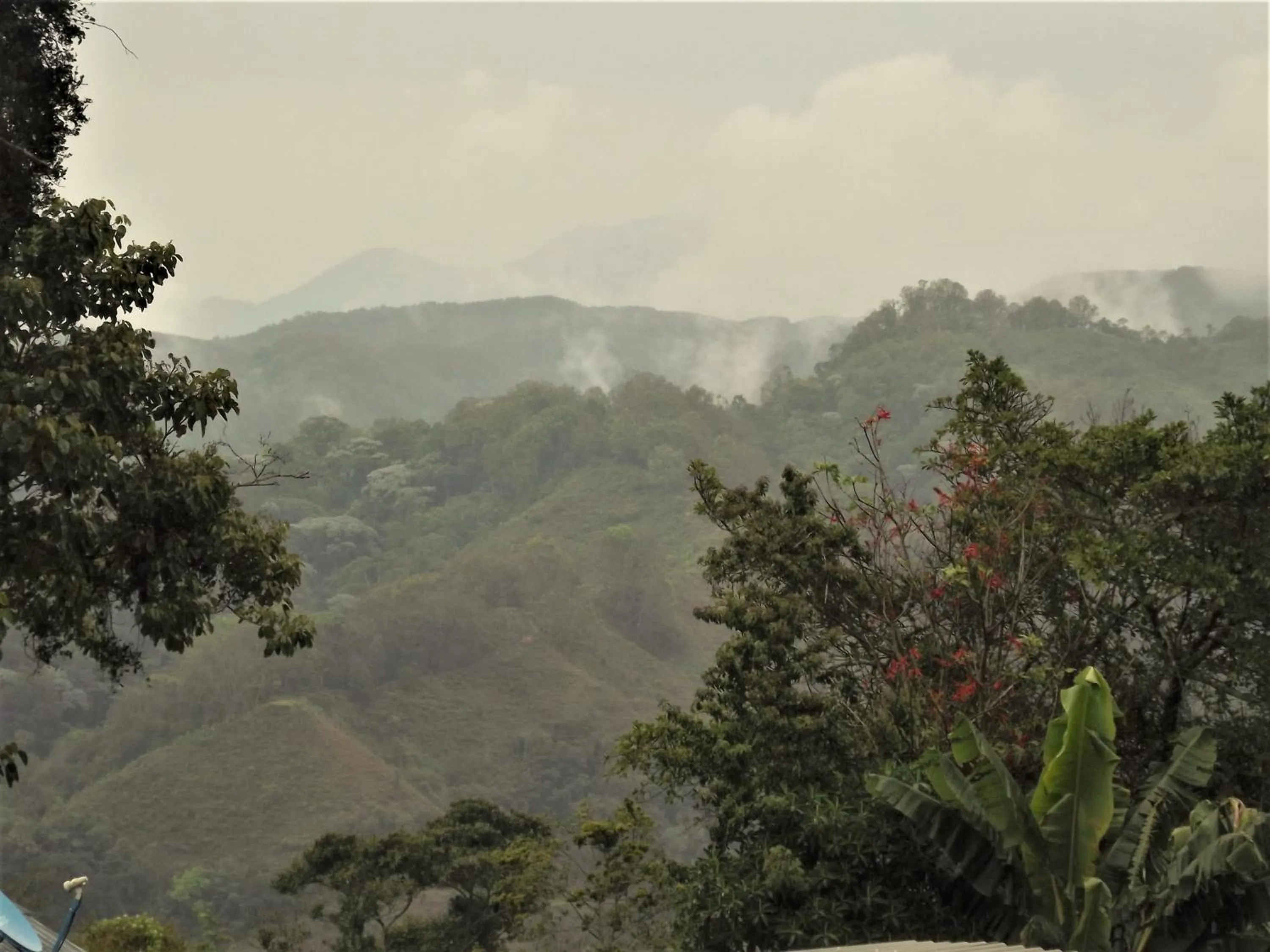 On site in El ZORZAL