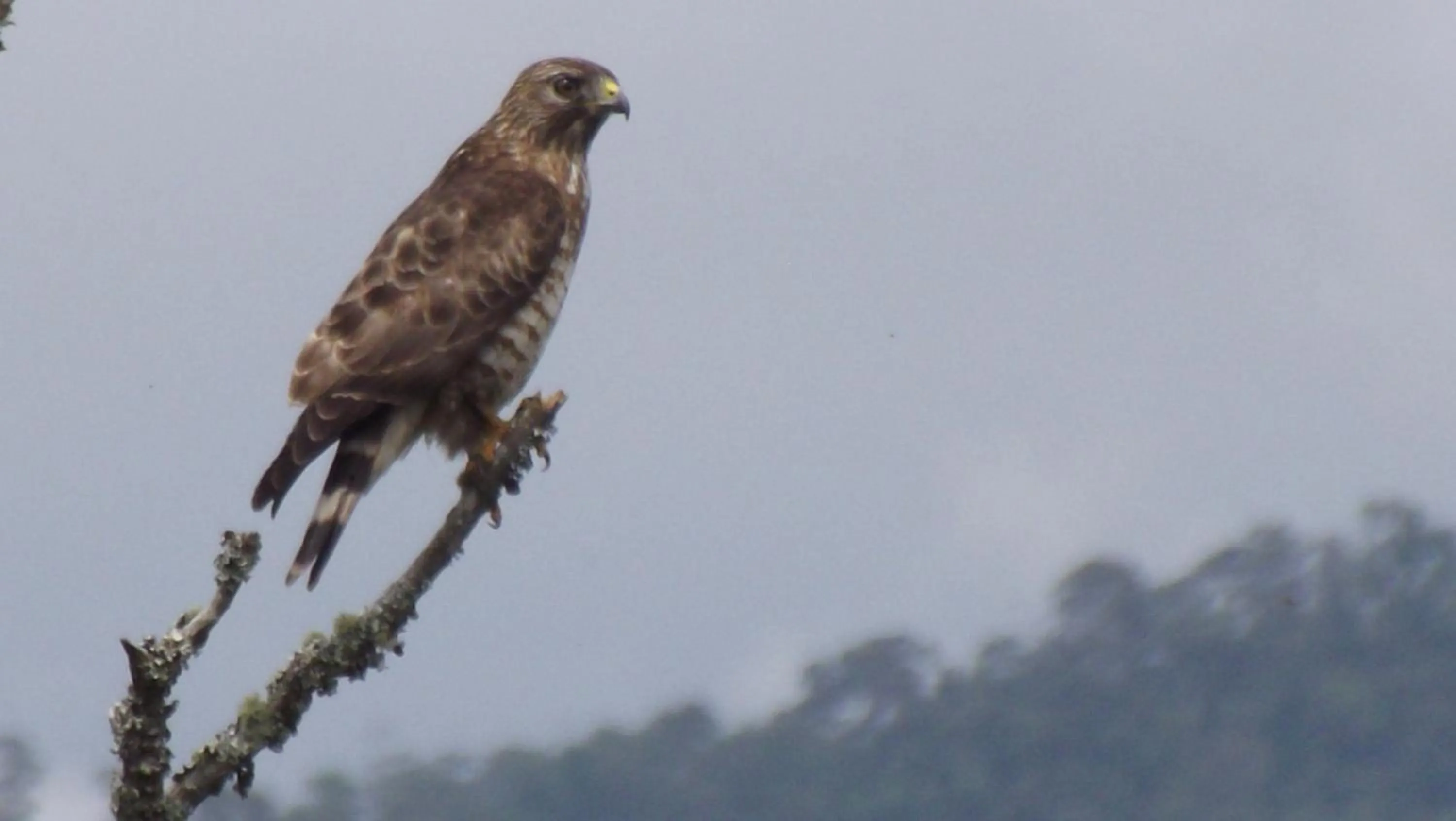 Facade/entrance in El ZORZAL
