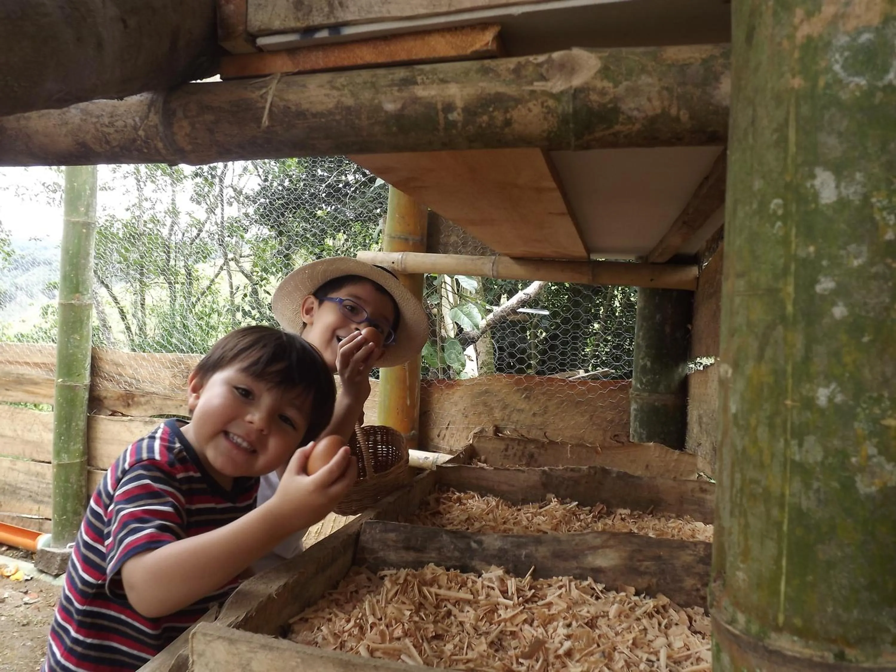 Area and facilities in El ZORZAL