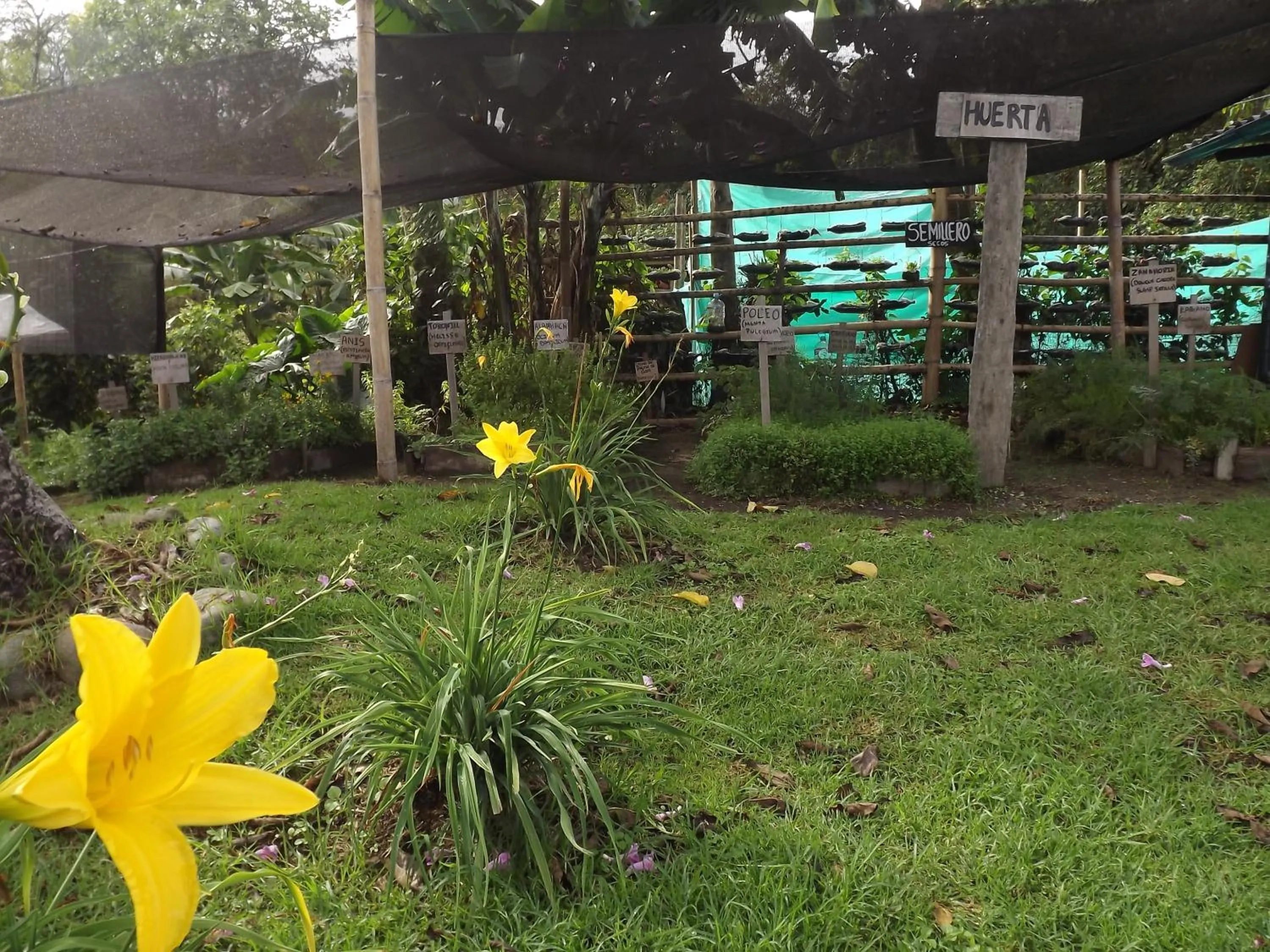 Area and facilities in El ZORZAL