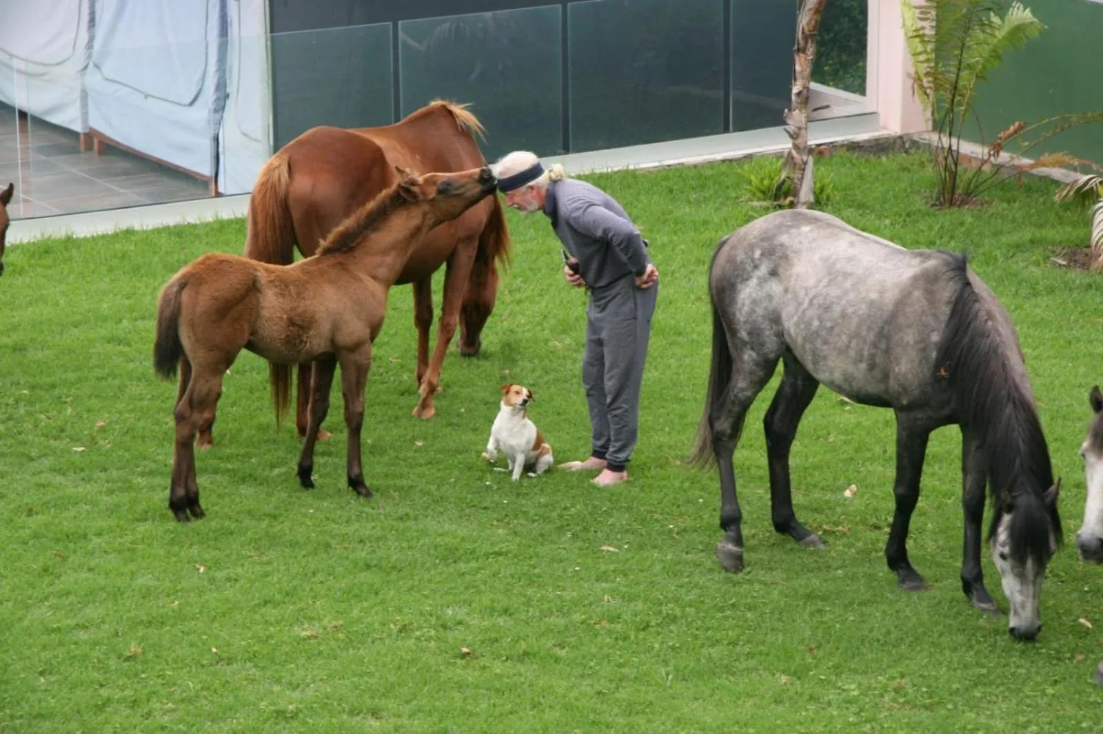 Horse-riding in Tsitsikamma on Sea Resort
