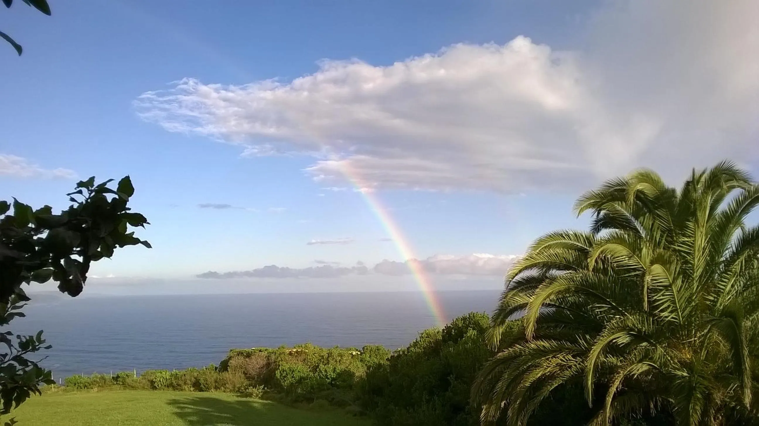 Day in Tsitsikamma on Sea Resort