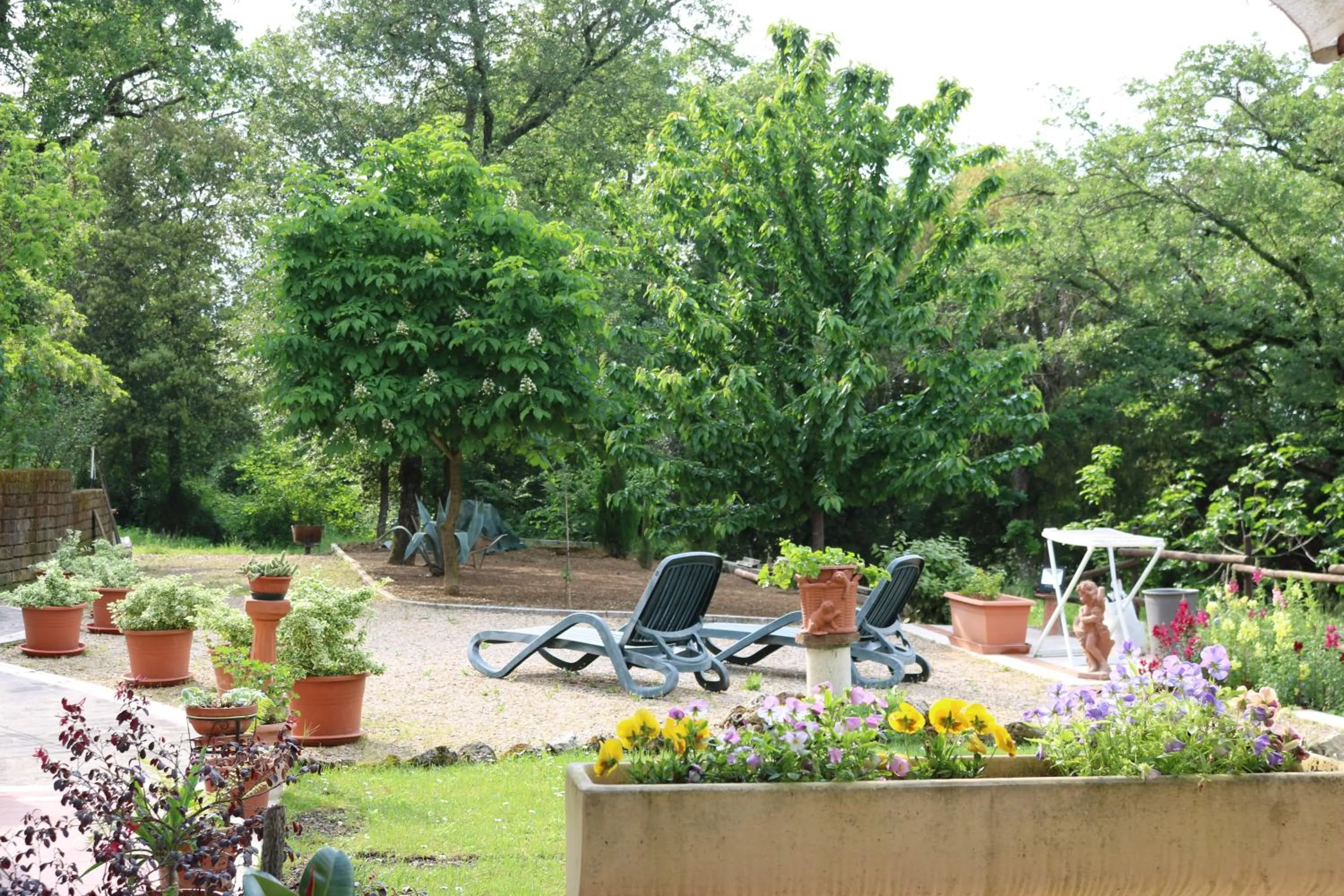 Garden view in Boscodisotto