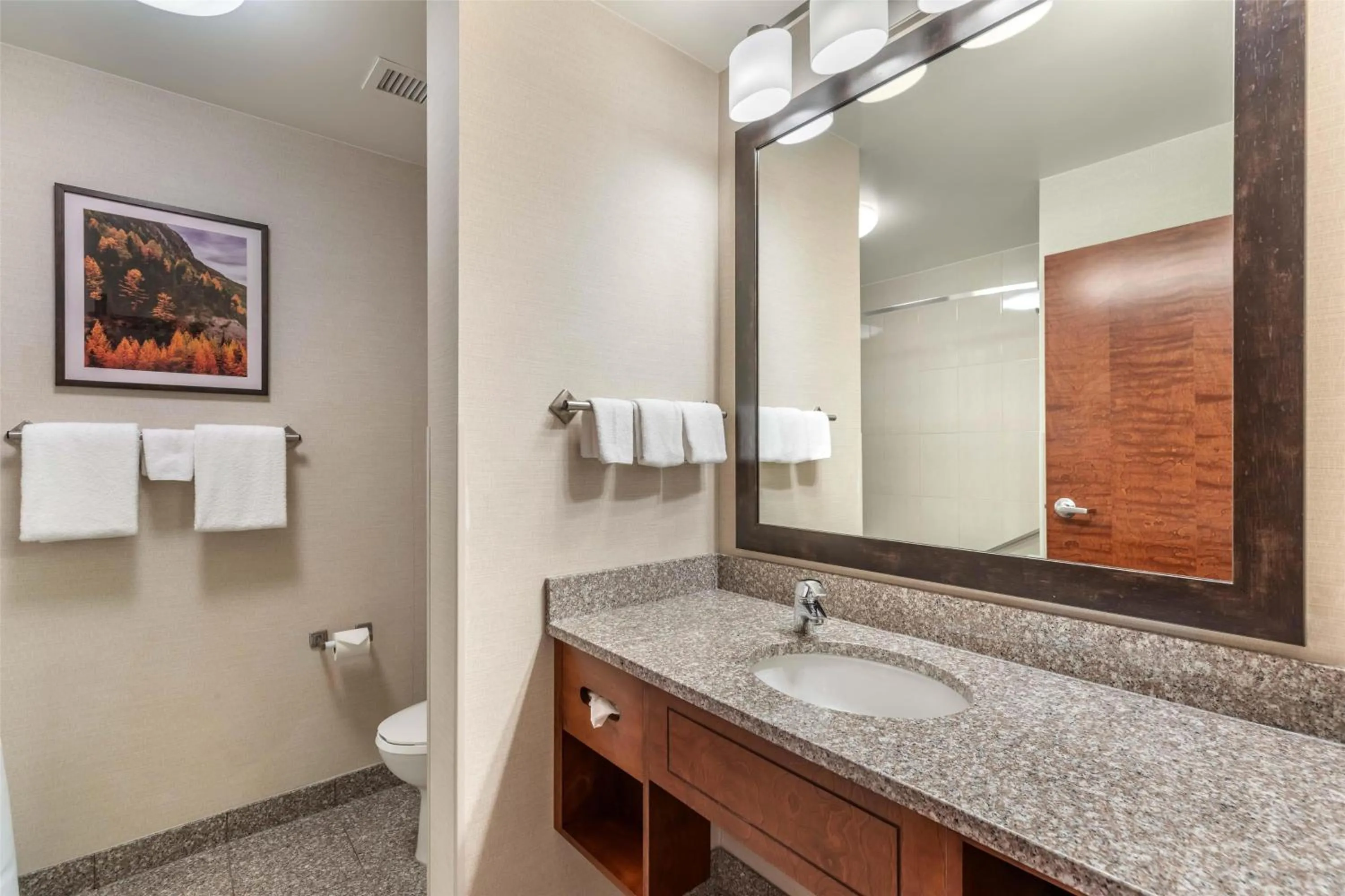 Bathroom in Drury Plaza Hotel Denver Central Park