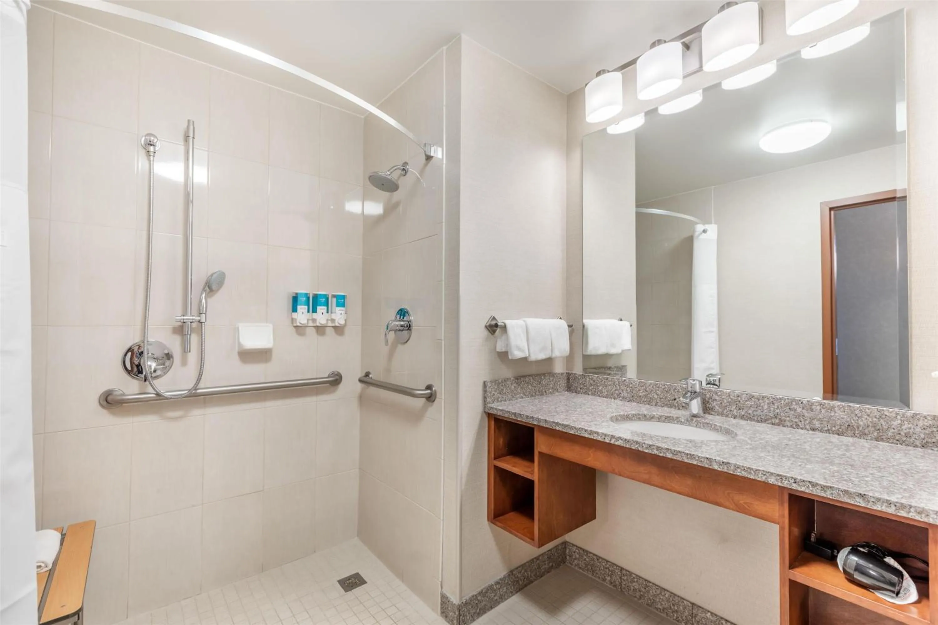 Bathroom in Drury Plaza Hotel Denver Central Park