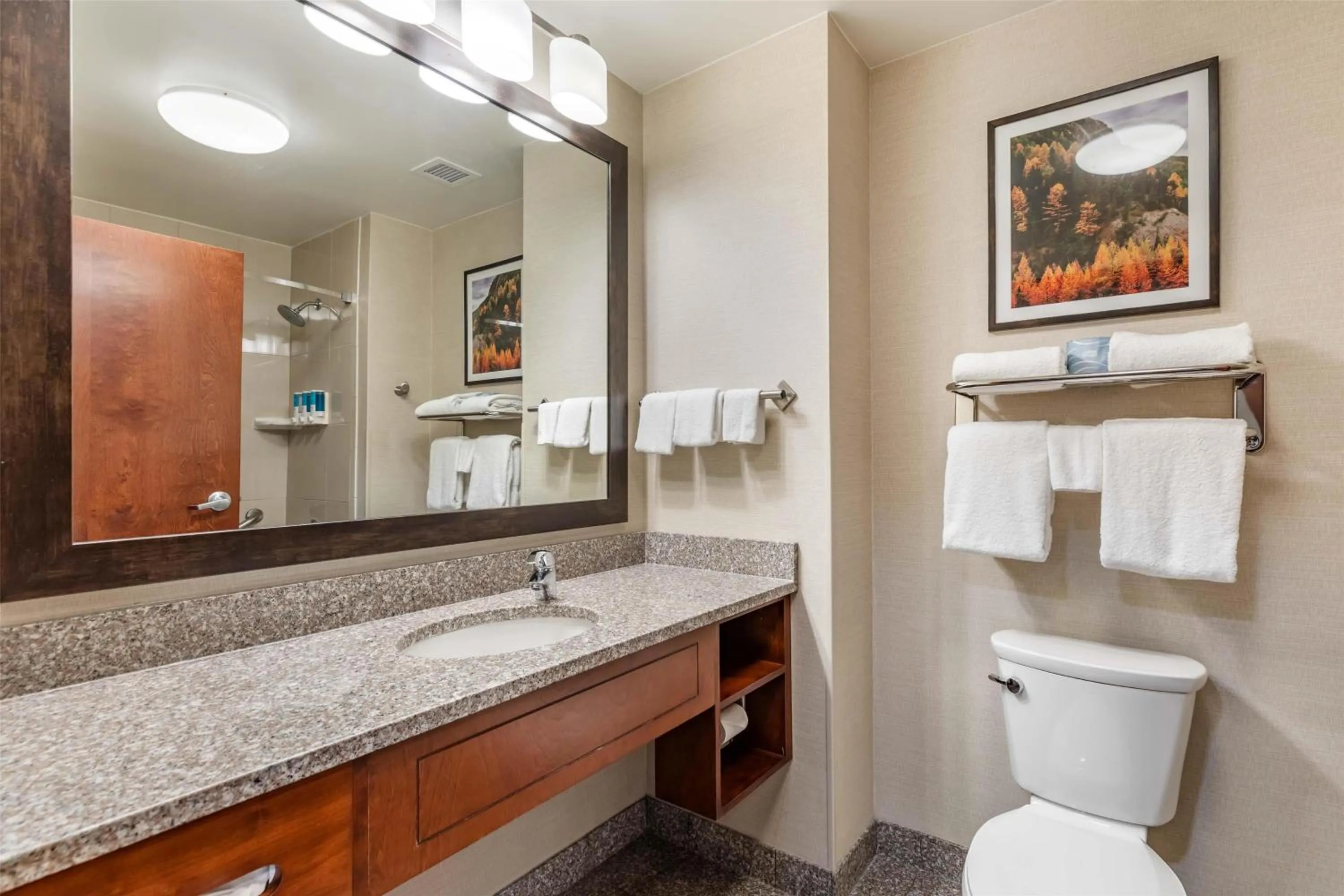 Bathroom in Drury Plaza Hotel Denver Central Park