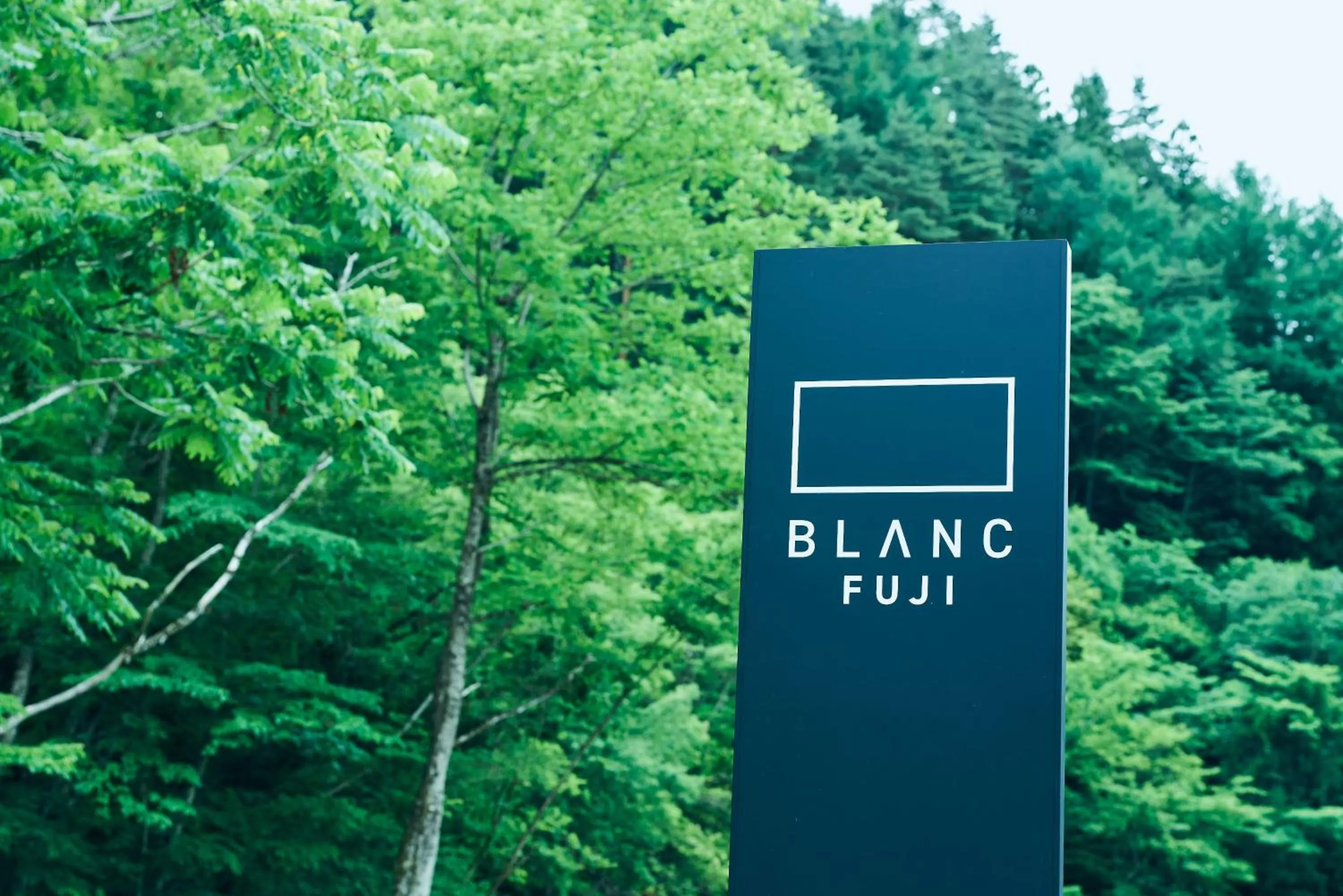 BLANC FUJI