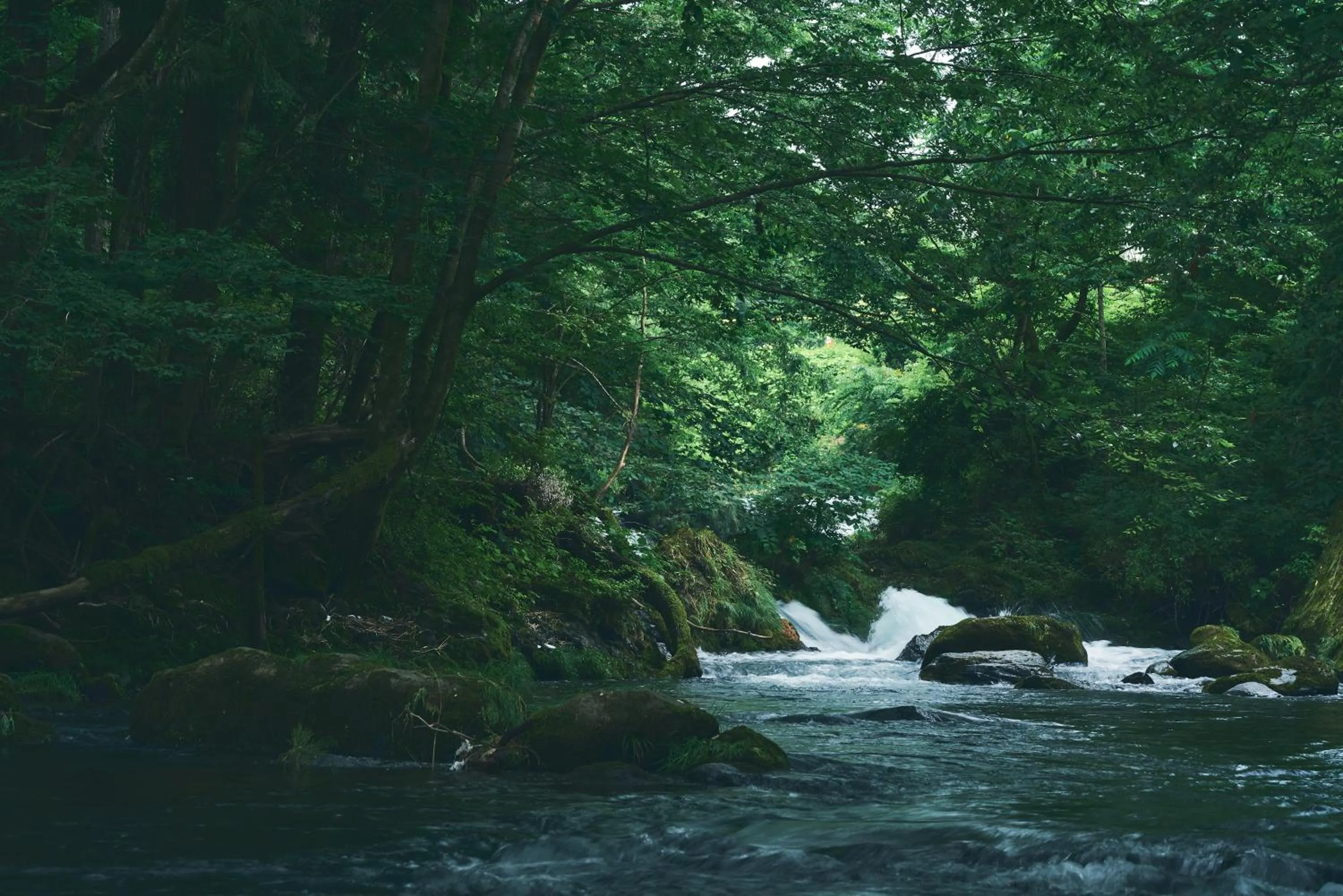 Natural landscape in BLANC FUJI