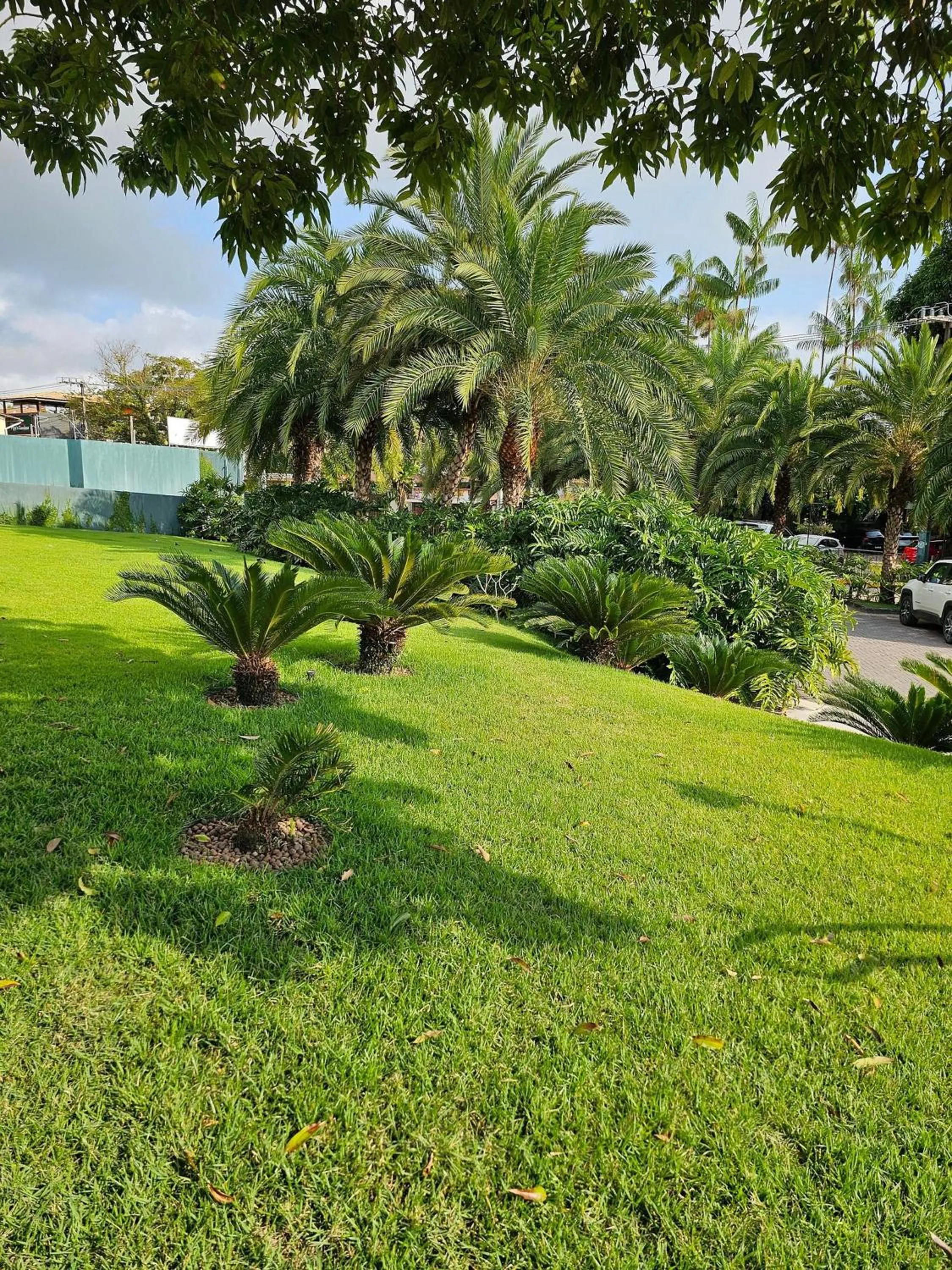 Garden view in Flat Luxo com piscina privativa Resort île de Pipa Locar House
