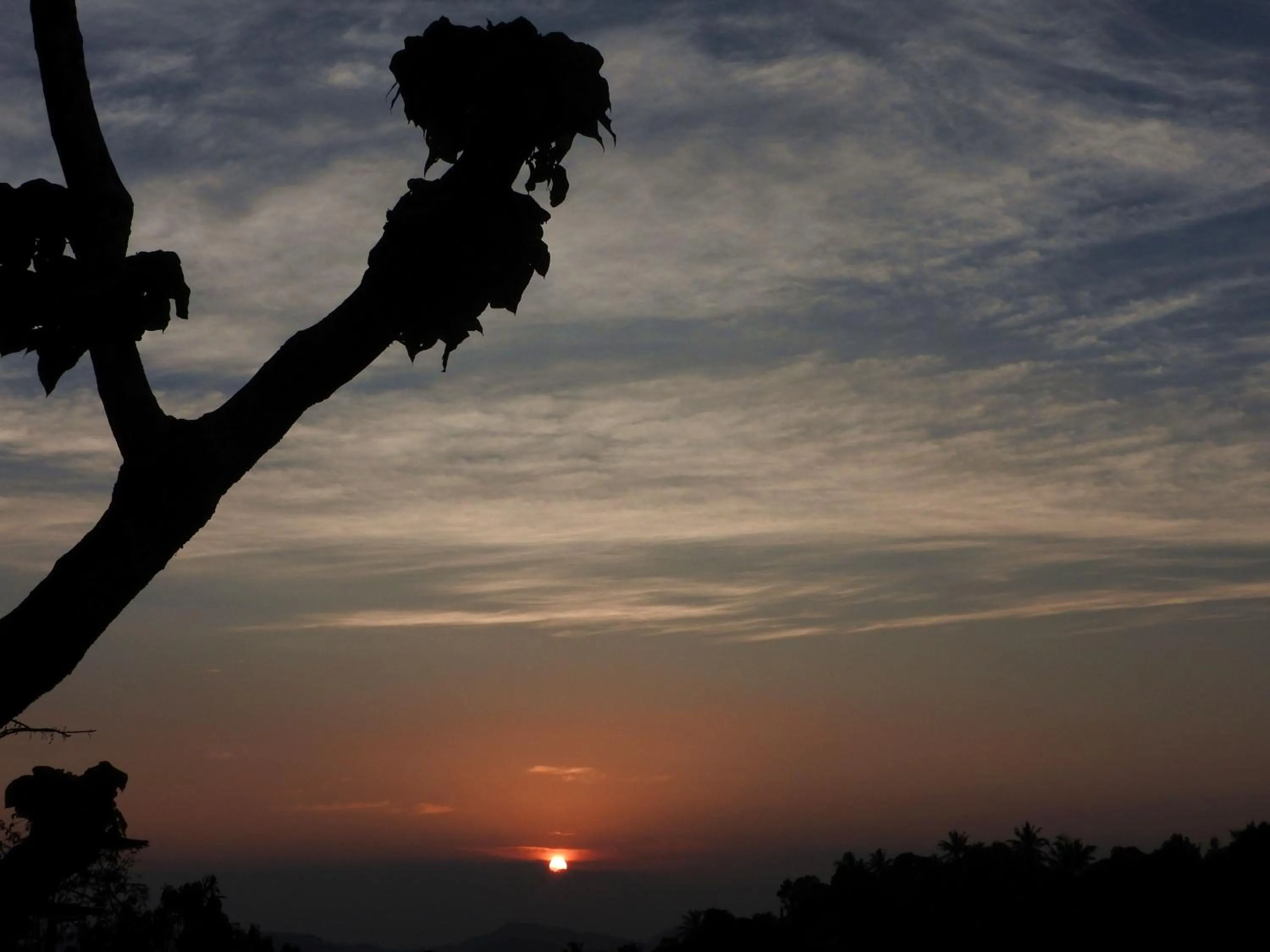 Property building in Green Heaven Resort Kandy