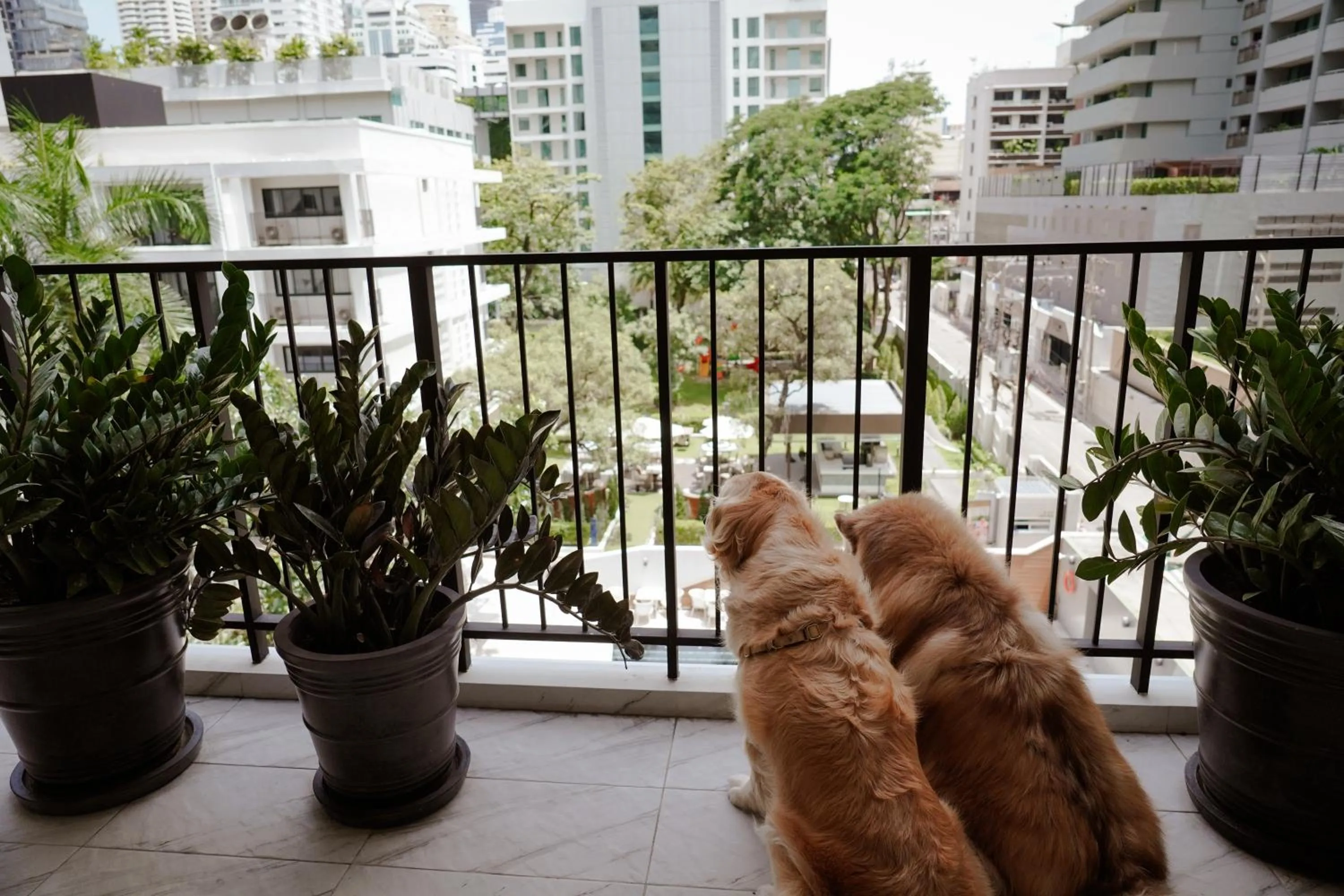 Day in Floral Court Hotel & Residence Sukhumvit 13