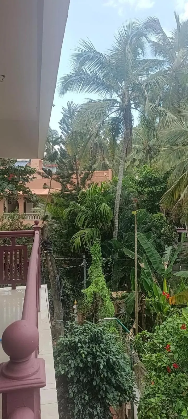 Property building in tippys beach resort