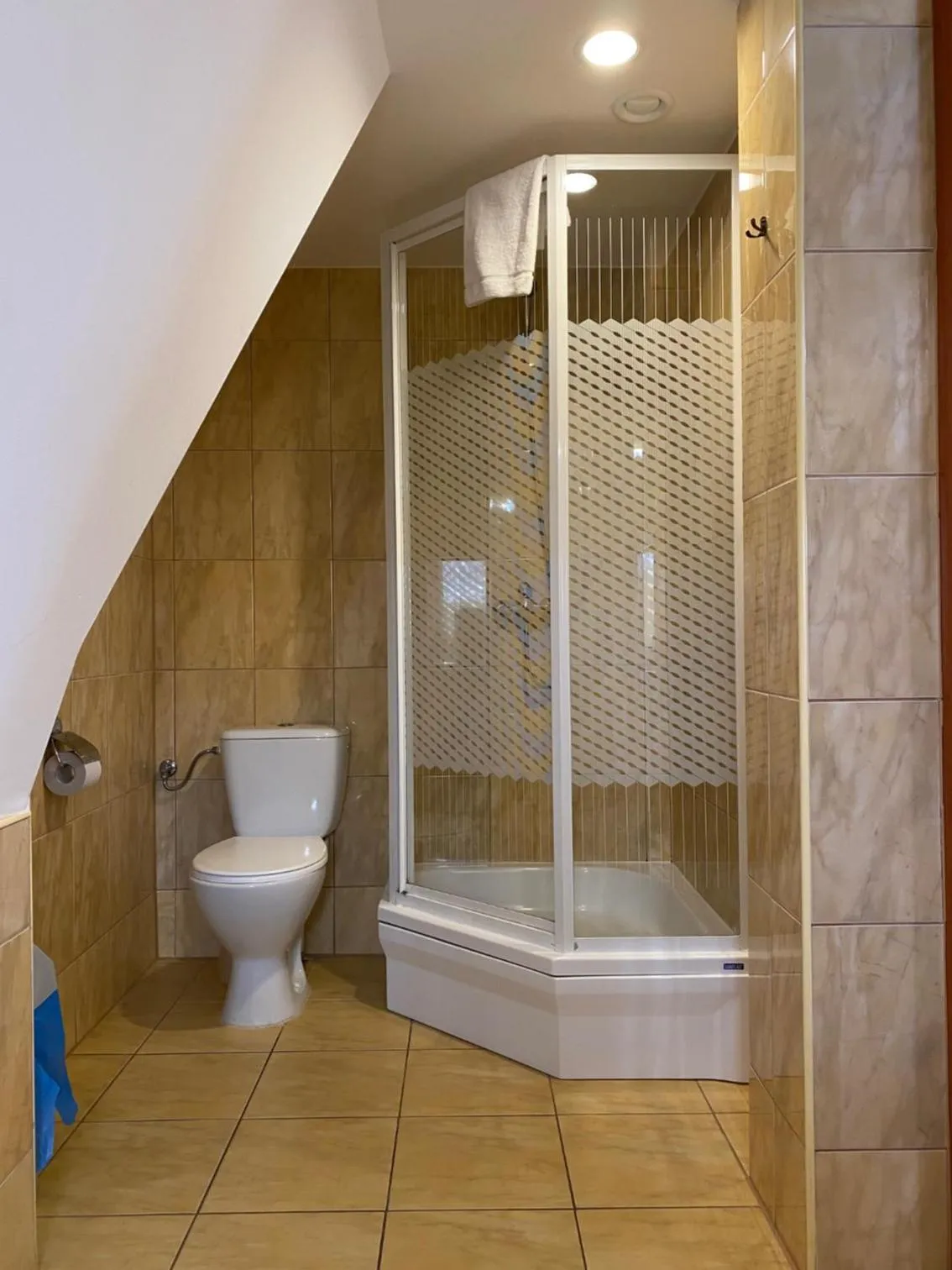 Toilet in Dom Wypoczynkowy Olivia