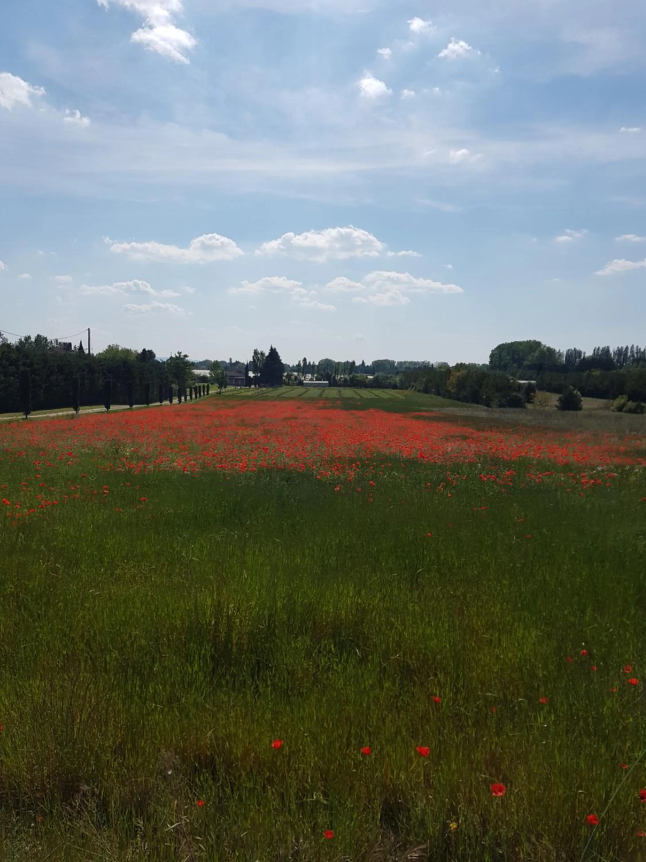 Natural landscape in Mas Clement - Chambre et table d'hôtes