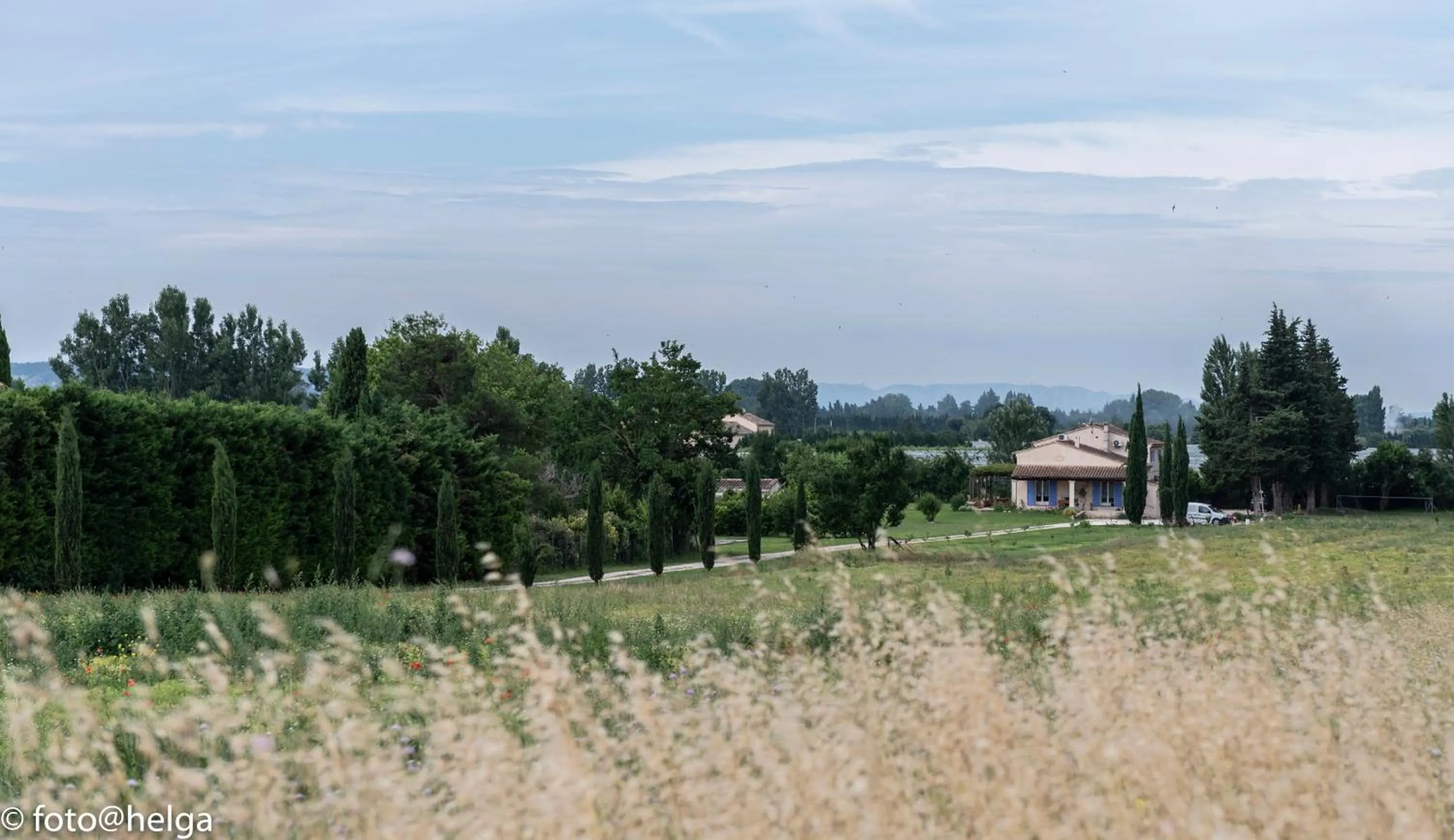 Garden in Mas Clement - Chambre et table d'hôtes