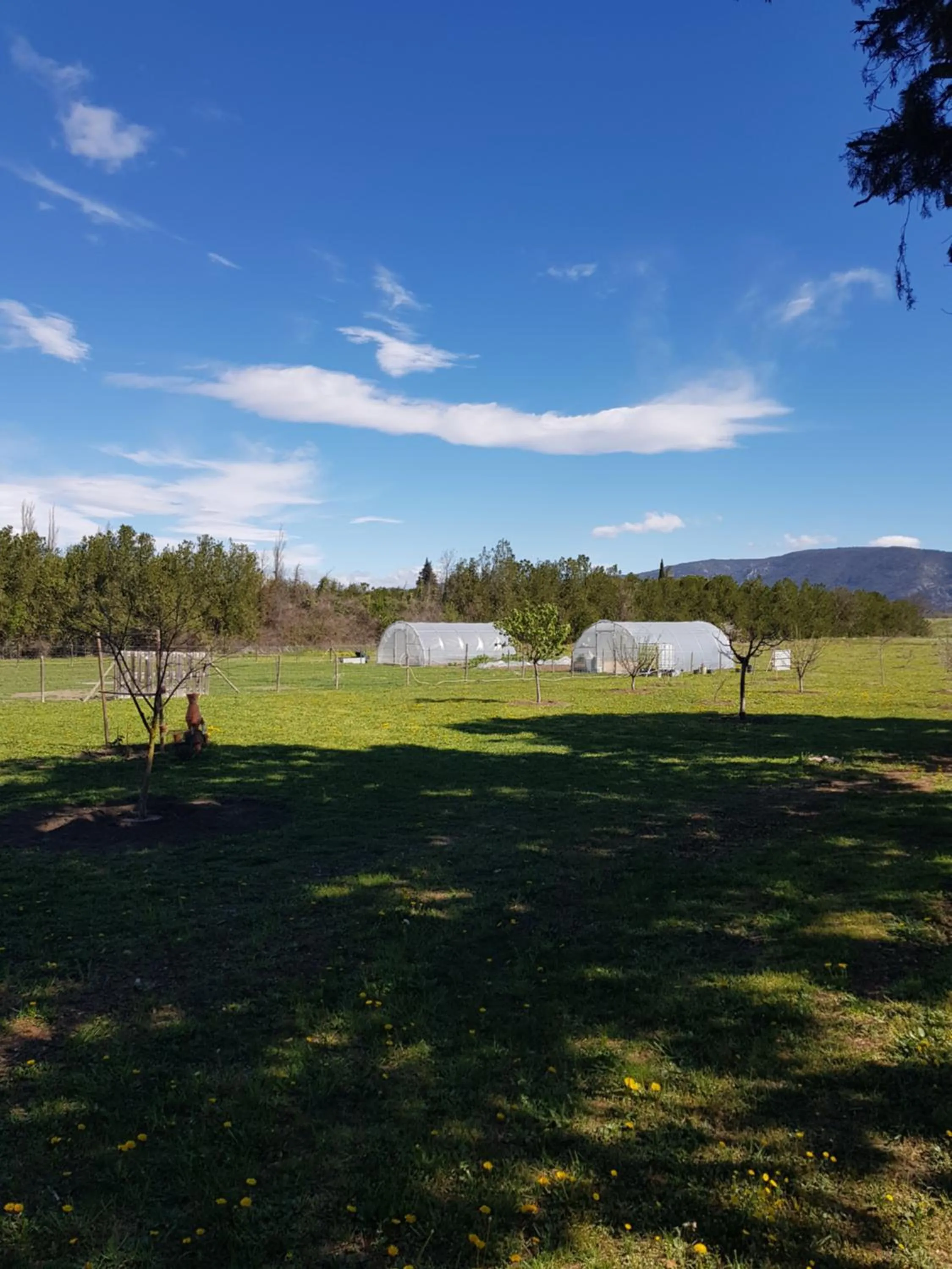 Natural landscape in Mas Clement - Chambre et table d'hôtes
