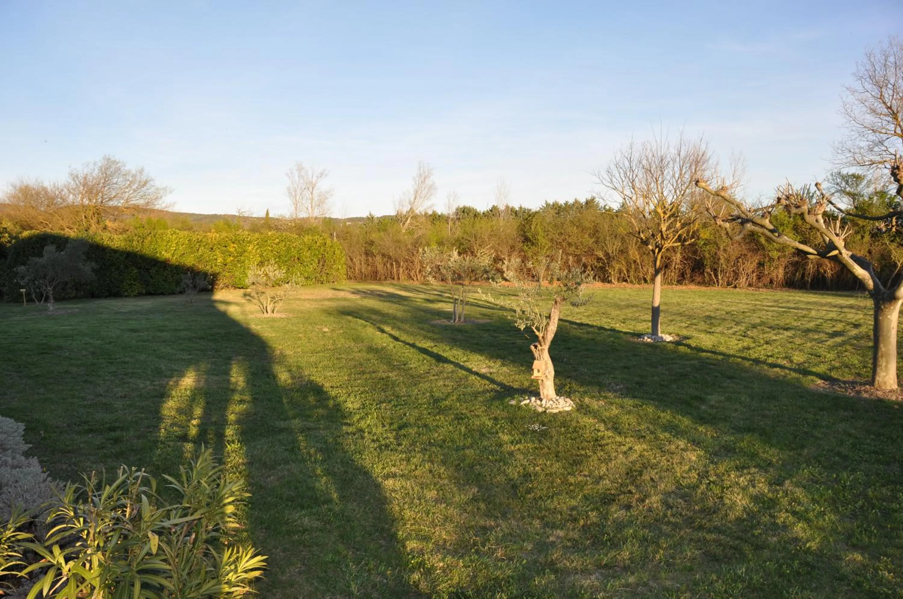 Standard Suite in Mas Clement - Chambre et table d'hôtes