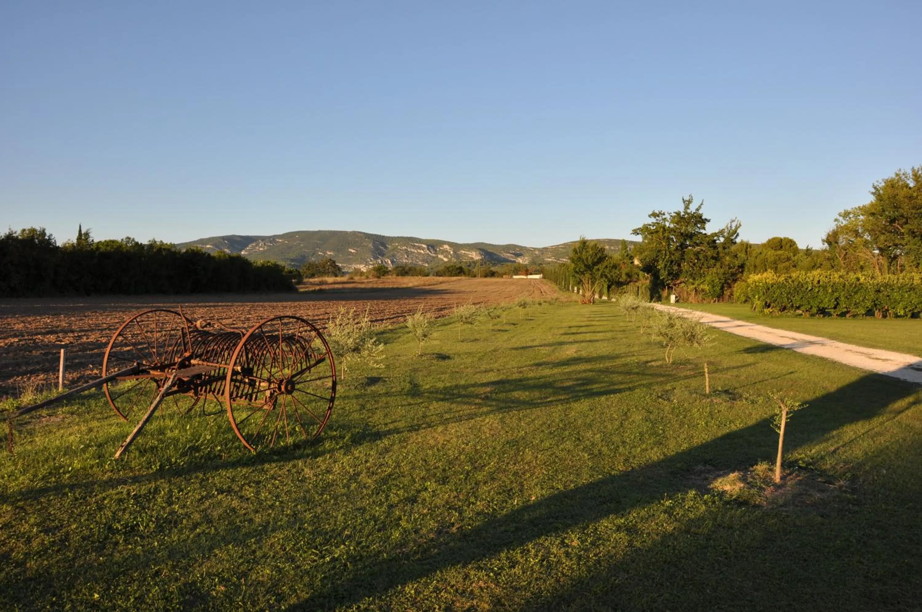 Garden in Mas Clement - Chambre et table d'hôtes