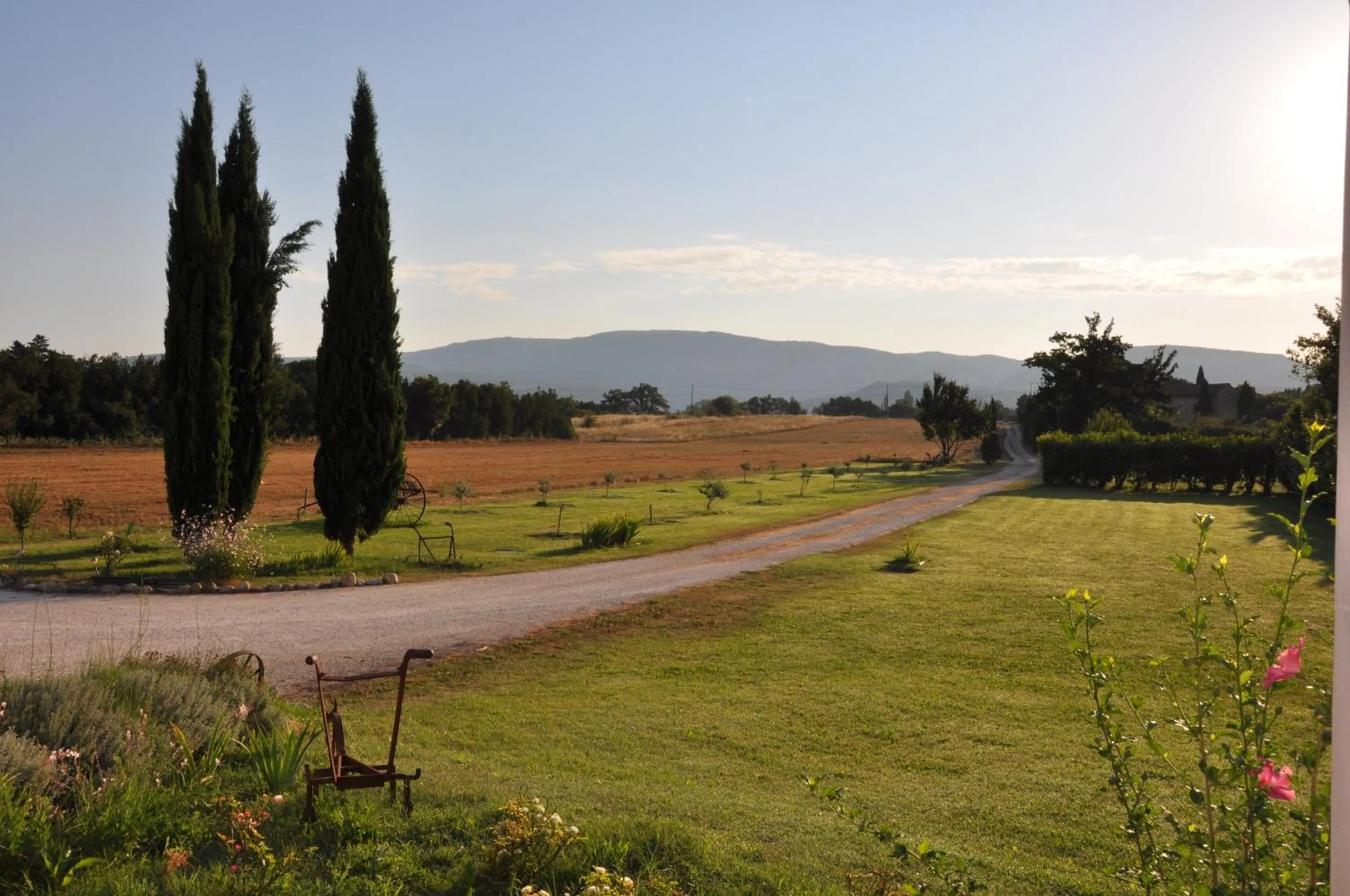 Garden in Mas Clement - Chambre et table d'hôtes