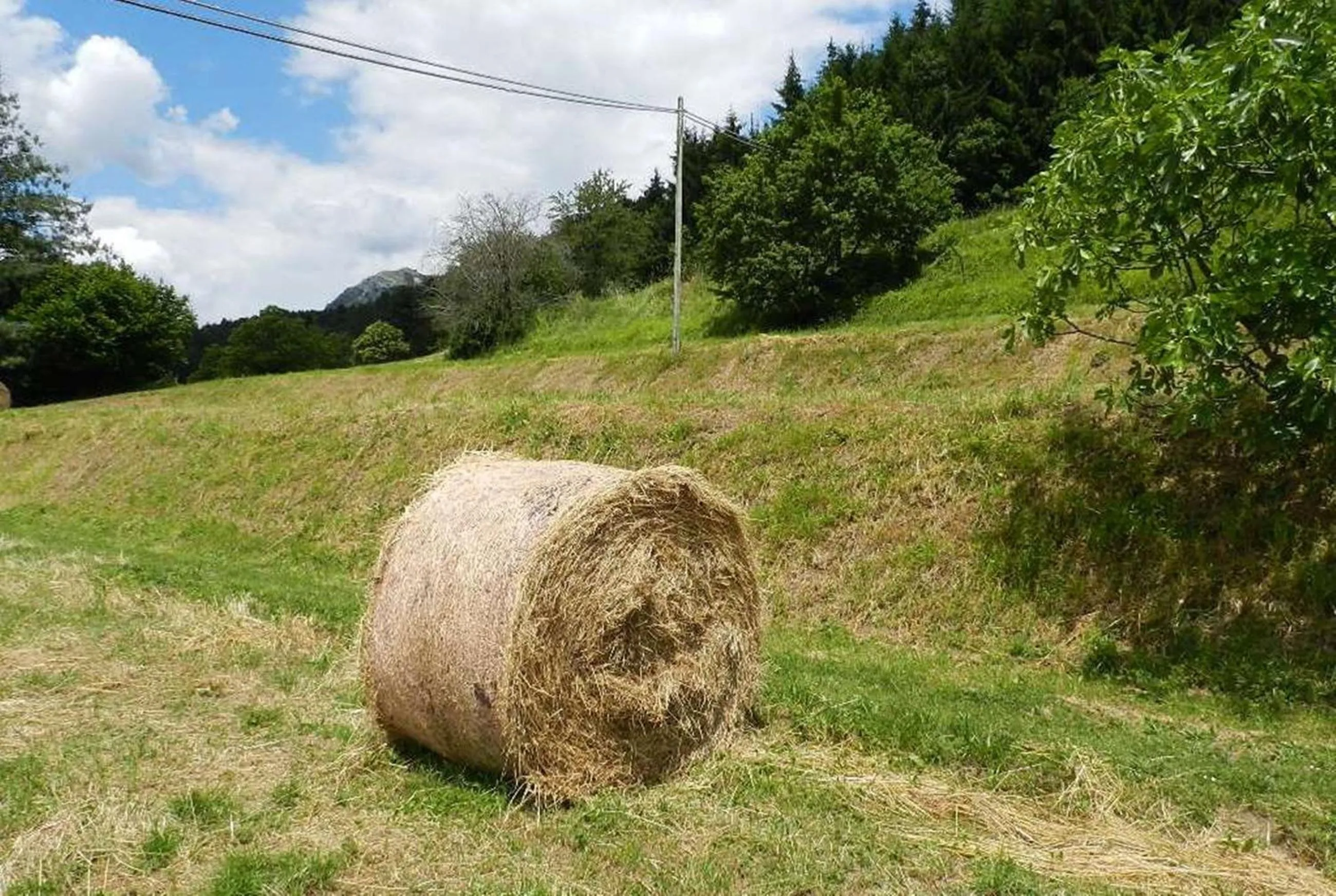 Nearby landmark in B&B Il Casale delle Pianacce