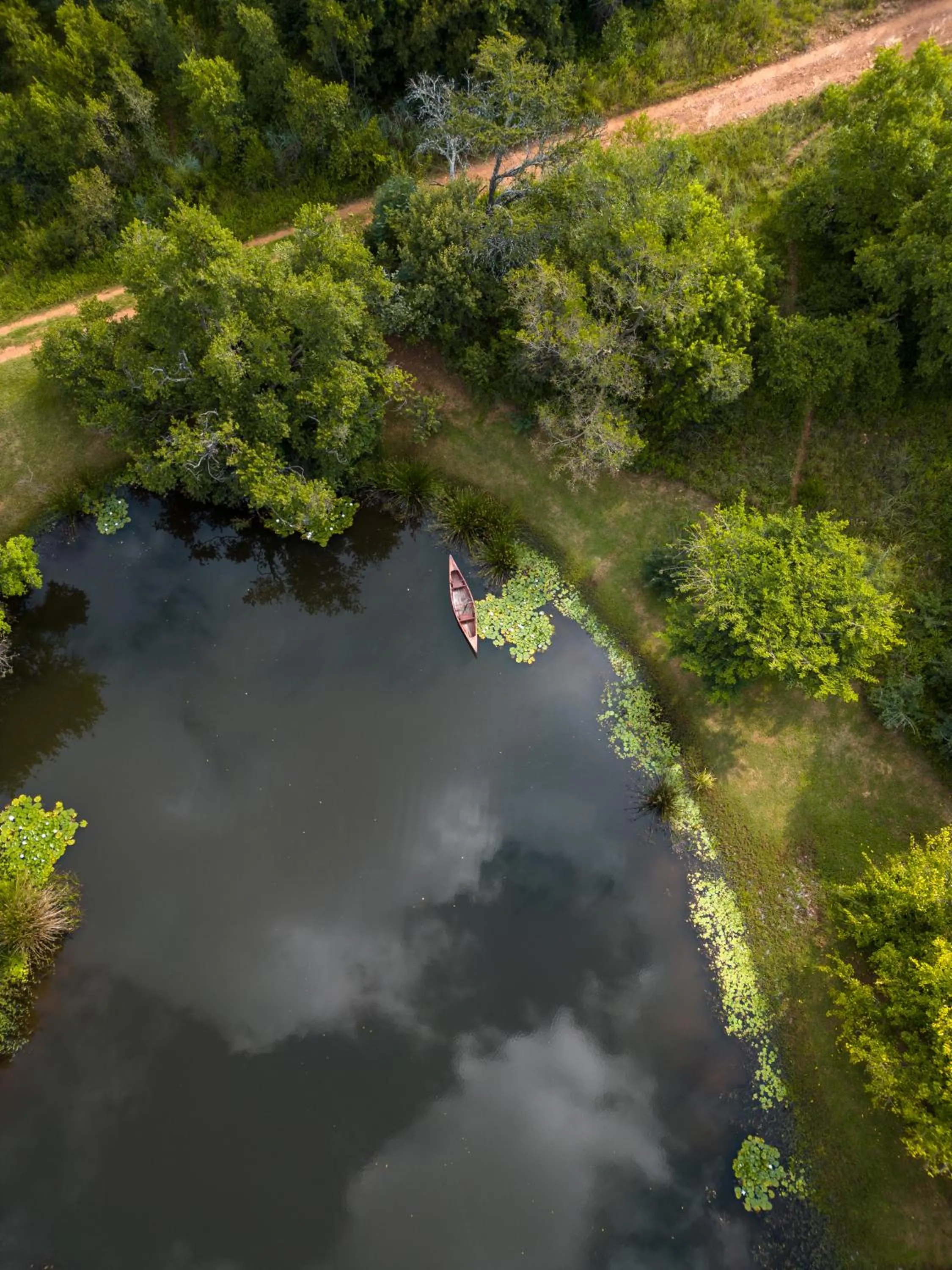 Bird's eye view in FARMHOUSE58