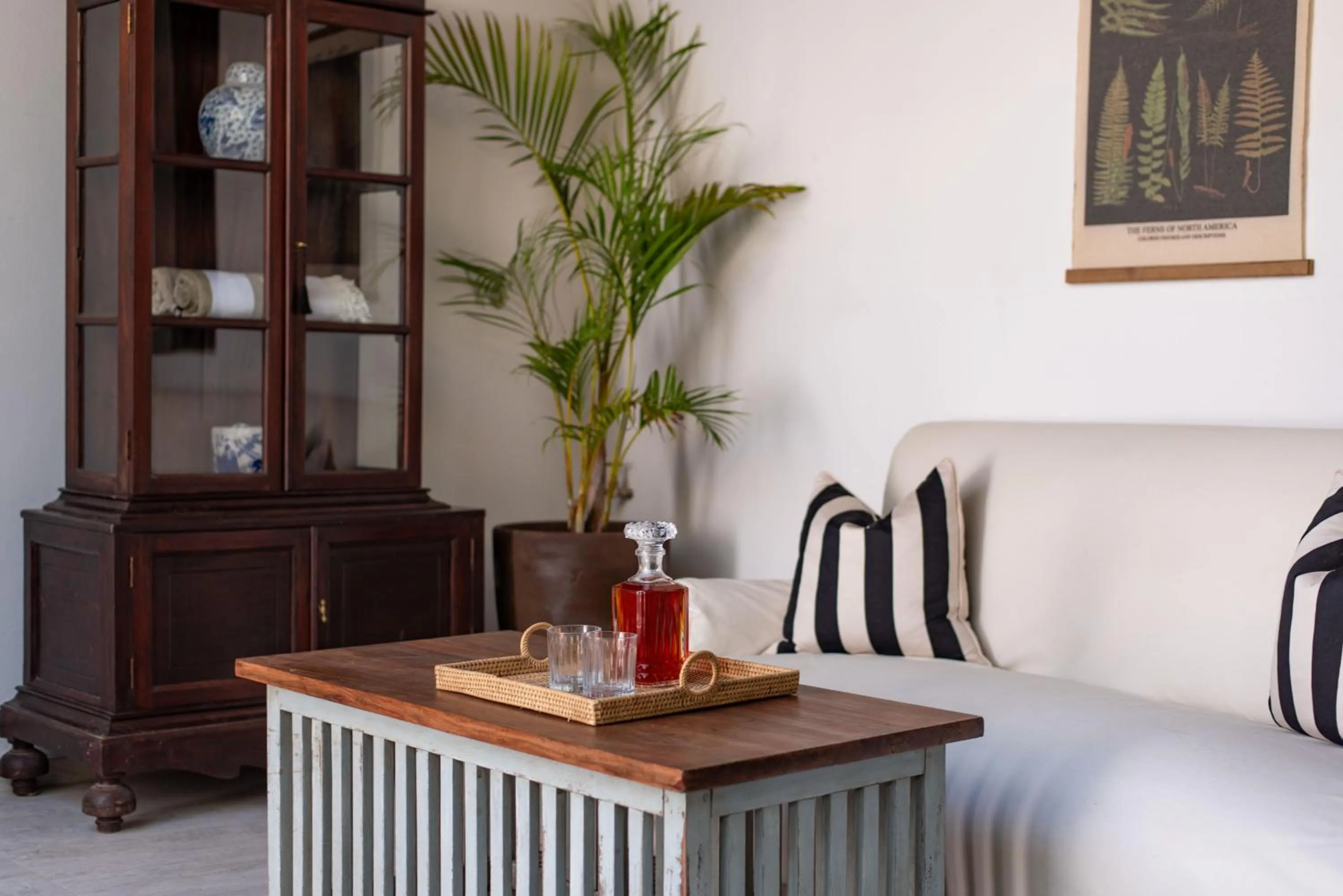 Patio in The Ivory Haus