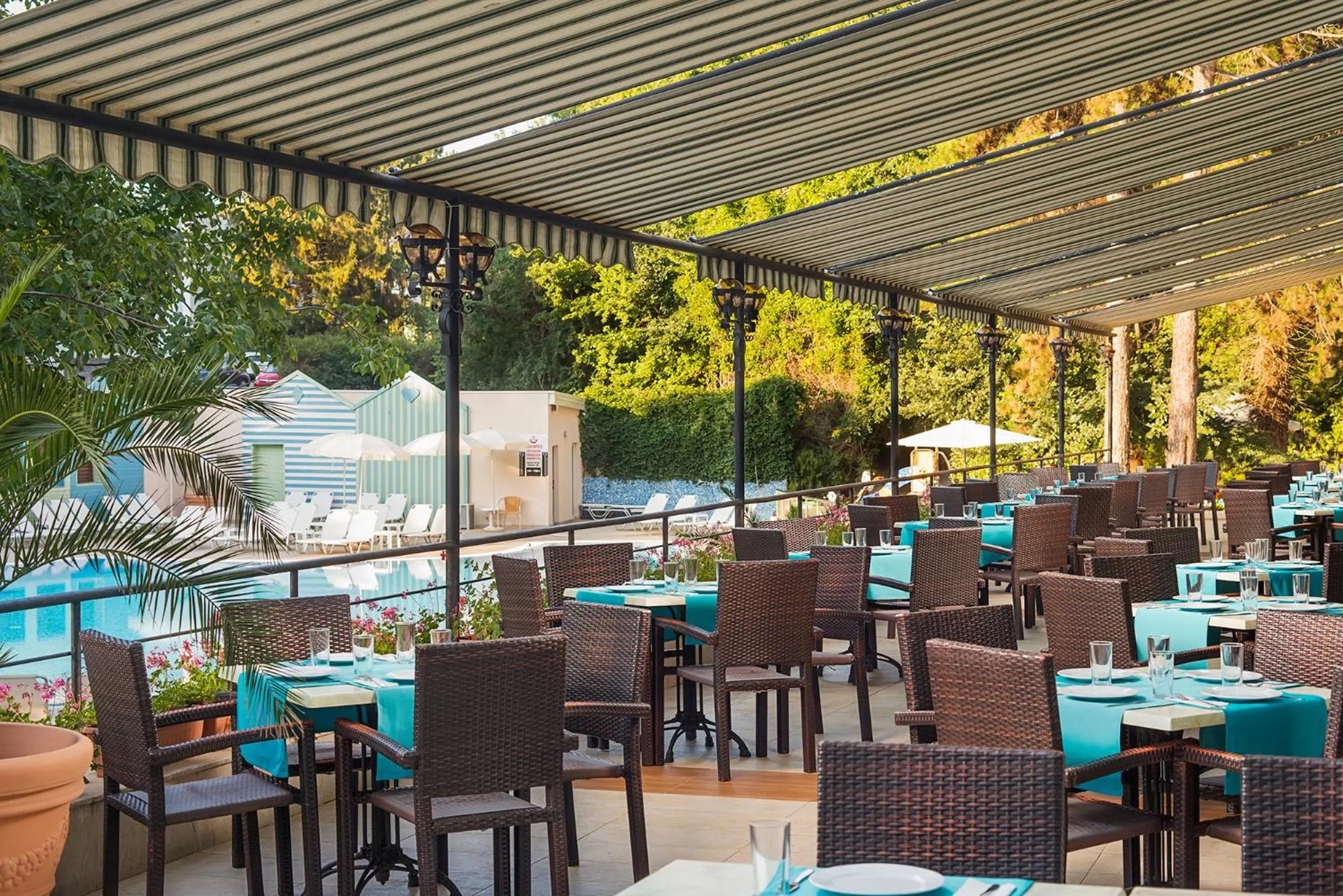 On site in MiRaBelle Hotel - All Inclusive