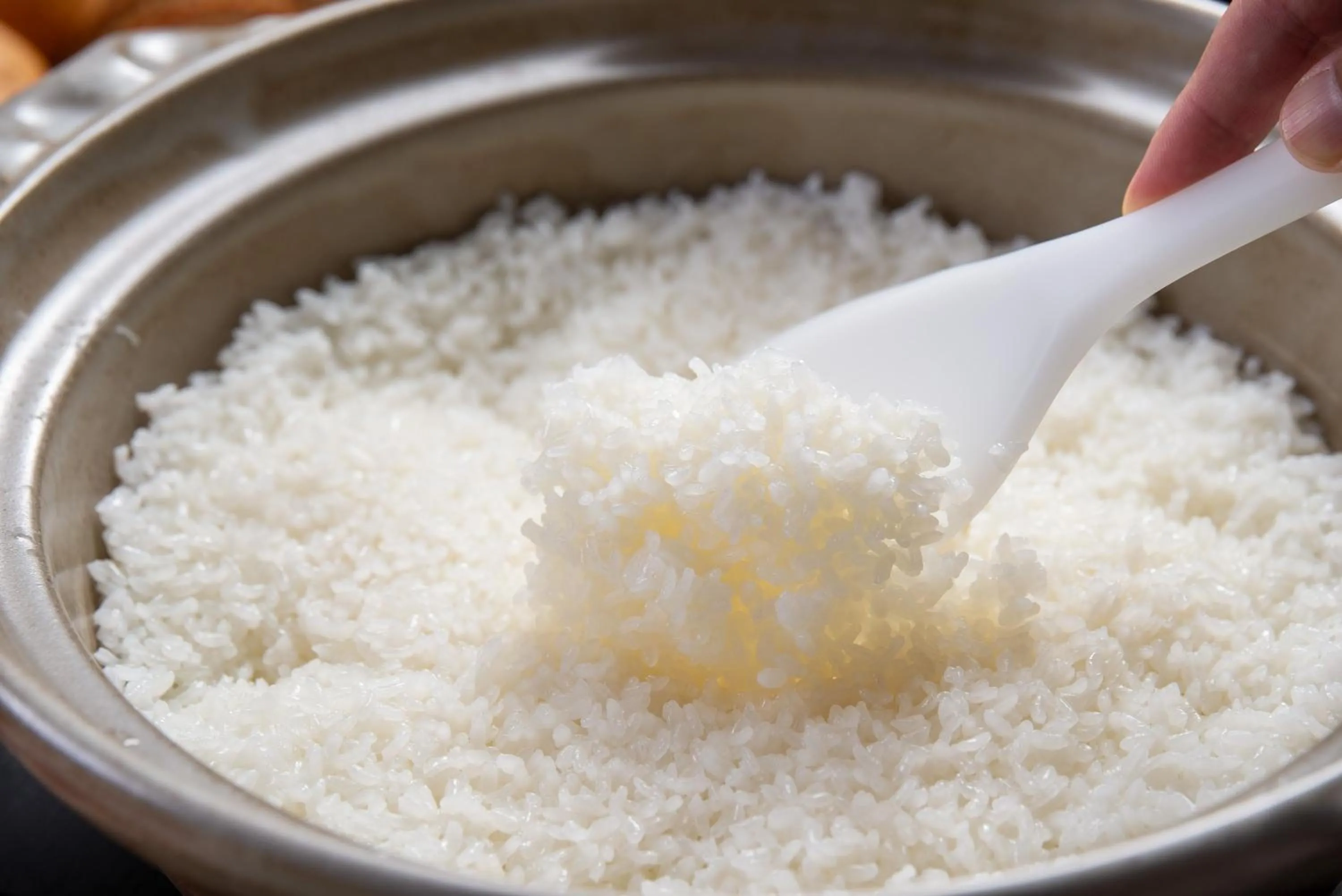 Food close-up in Ureshino Onsen Yadoya Uchiroji