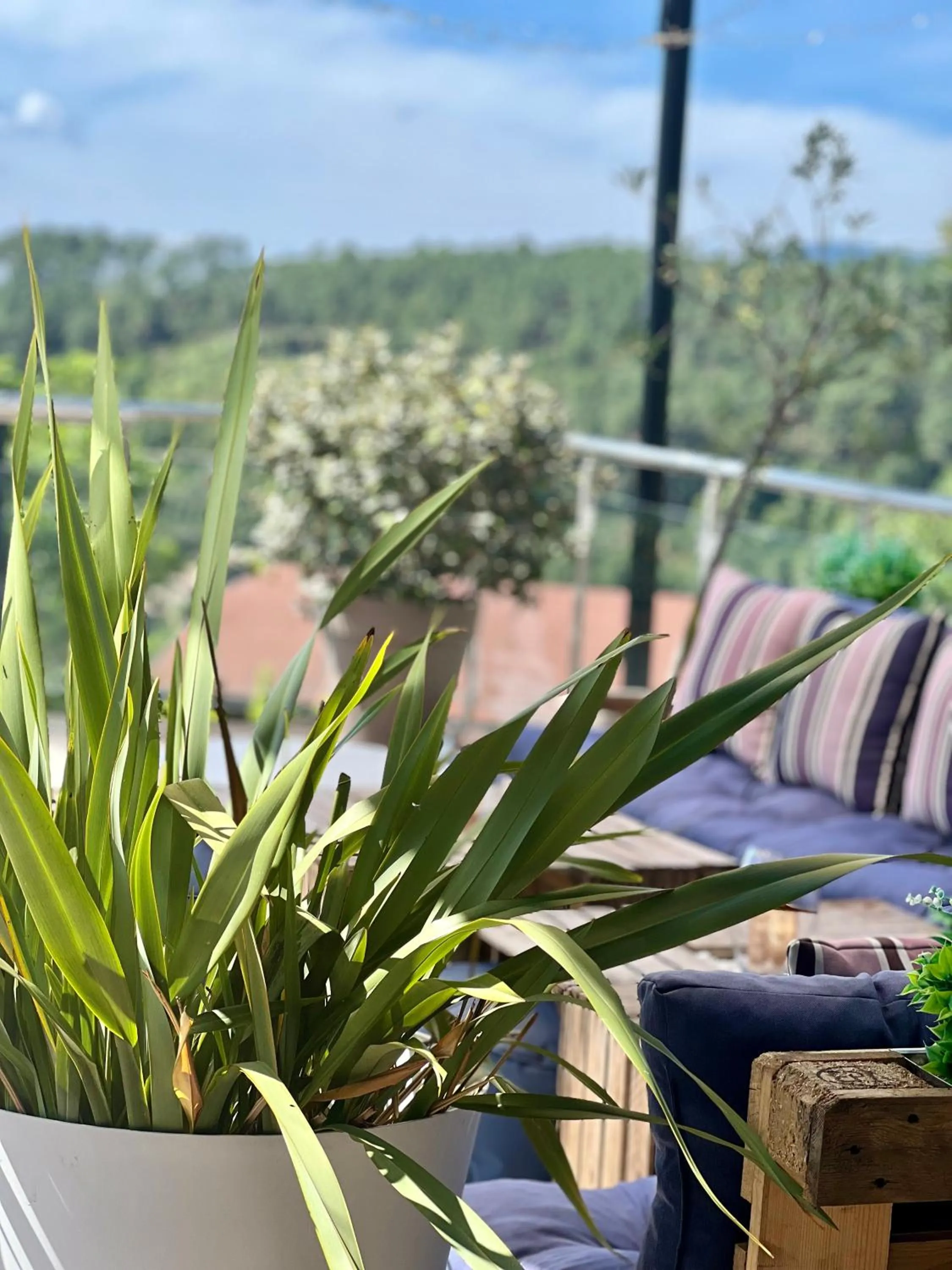 Restaurant/places to eat in Domaine de Chalvêches Hôtel SPA 4*