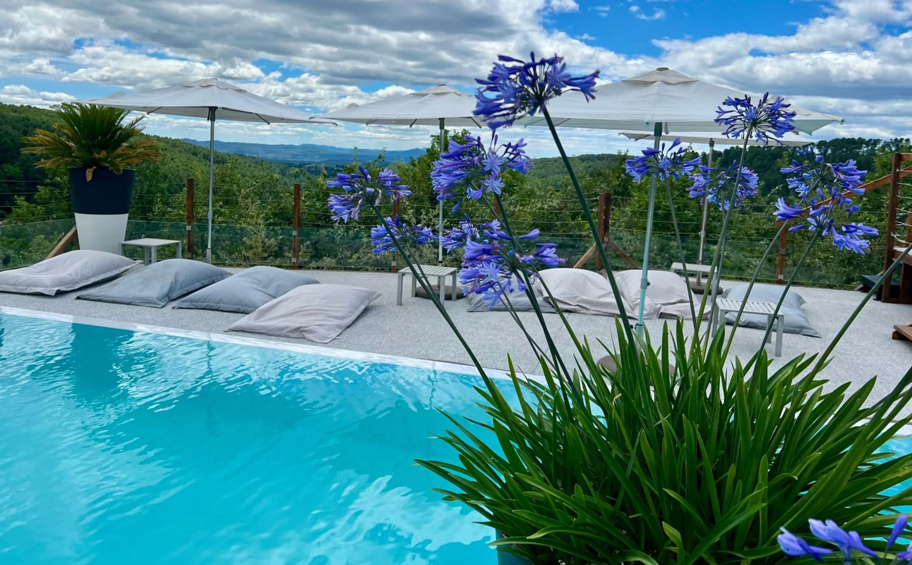 Swimming pool in Domaine de Chalvêches Hôtel SPA 4*