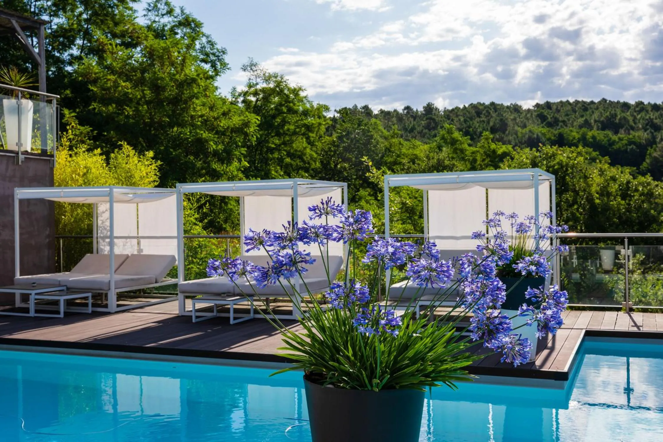 Swimming pool in Domaine de Chalvêches Hôtel SPA 4*