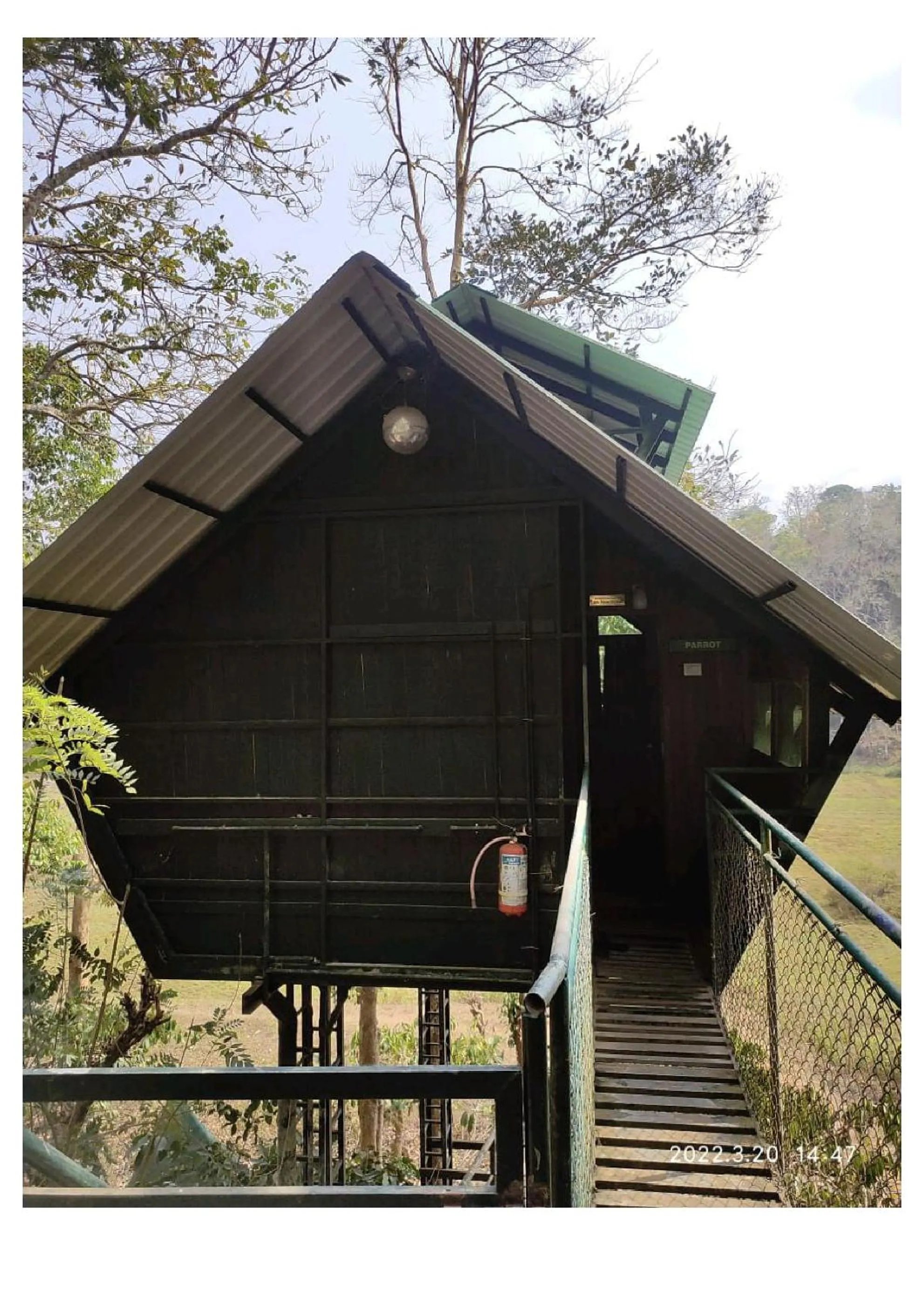 Property building in Tree House Wayanad