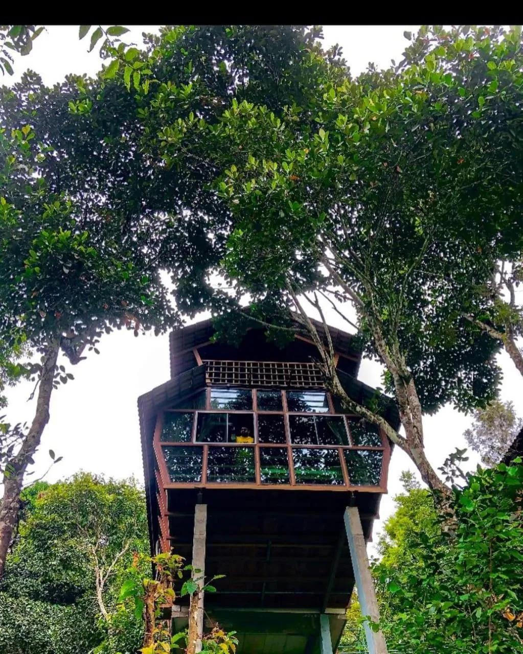 Natural landscape in Tree House Wayanad