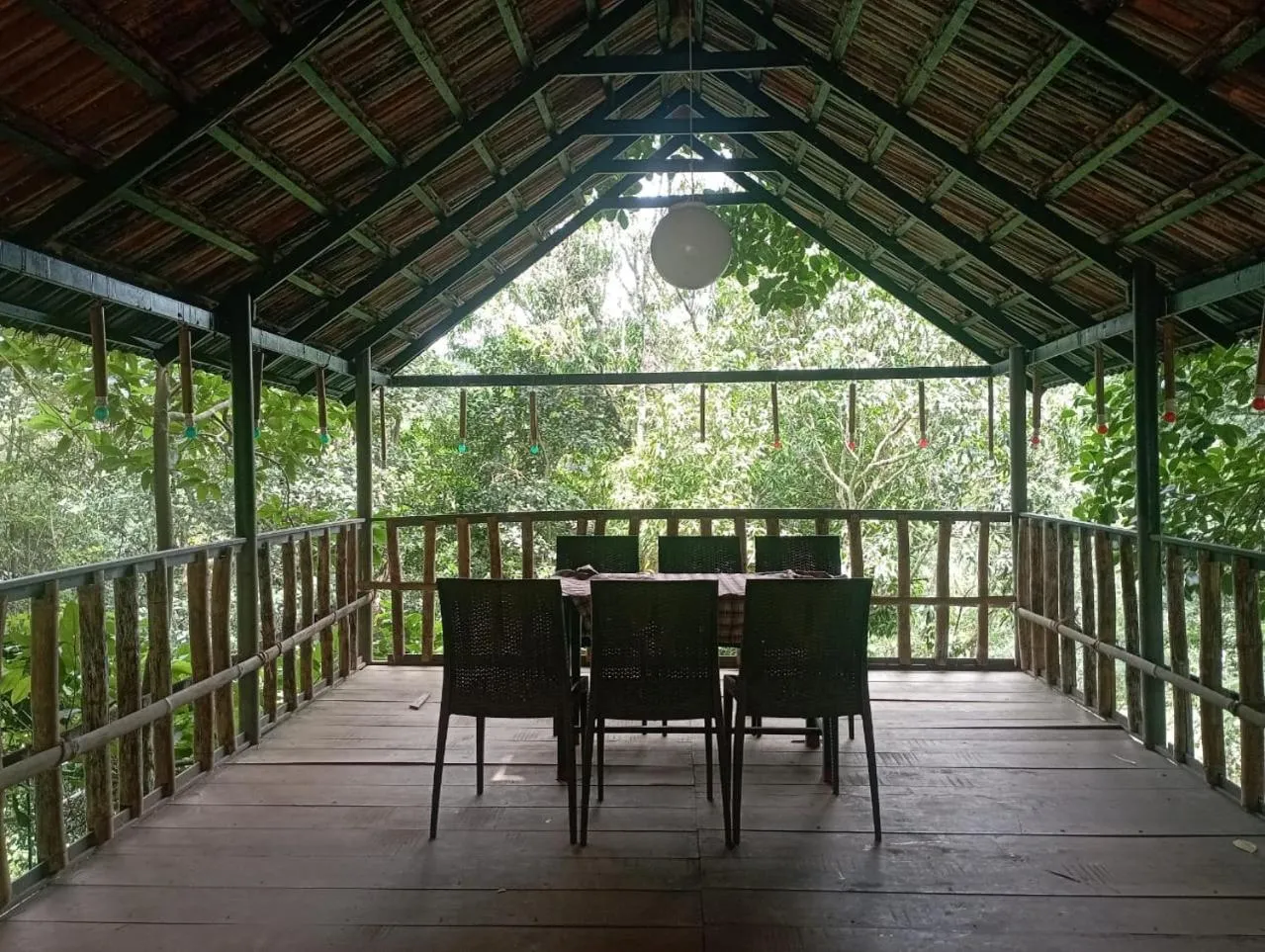 Day in Tree House Wayanad