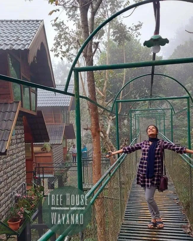 Day in Tree House Wayanad