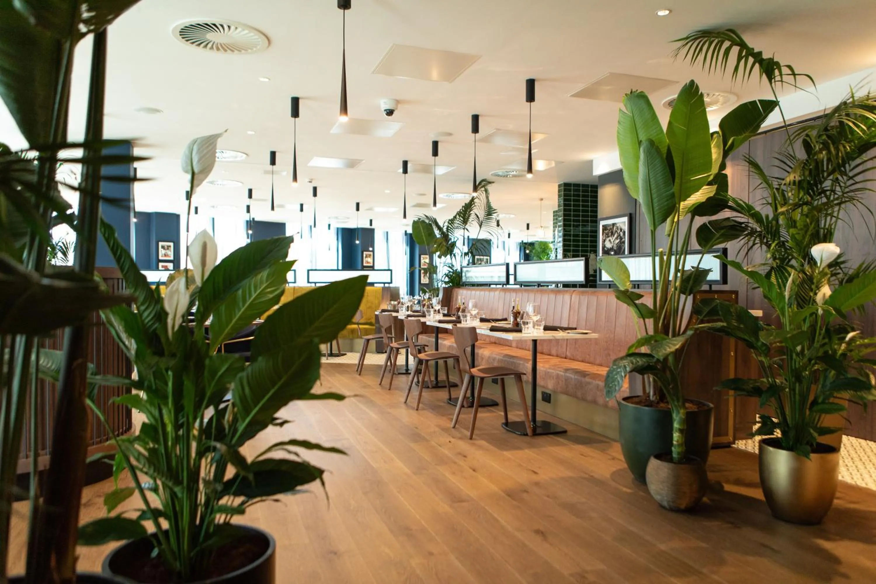 Restaurant/places to eat in Holiday Inn Blackpool by IHG