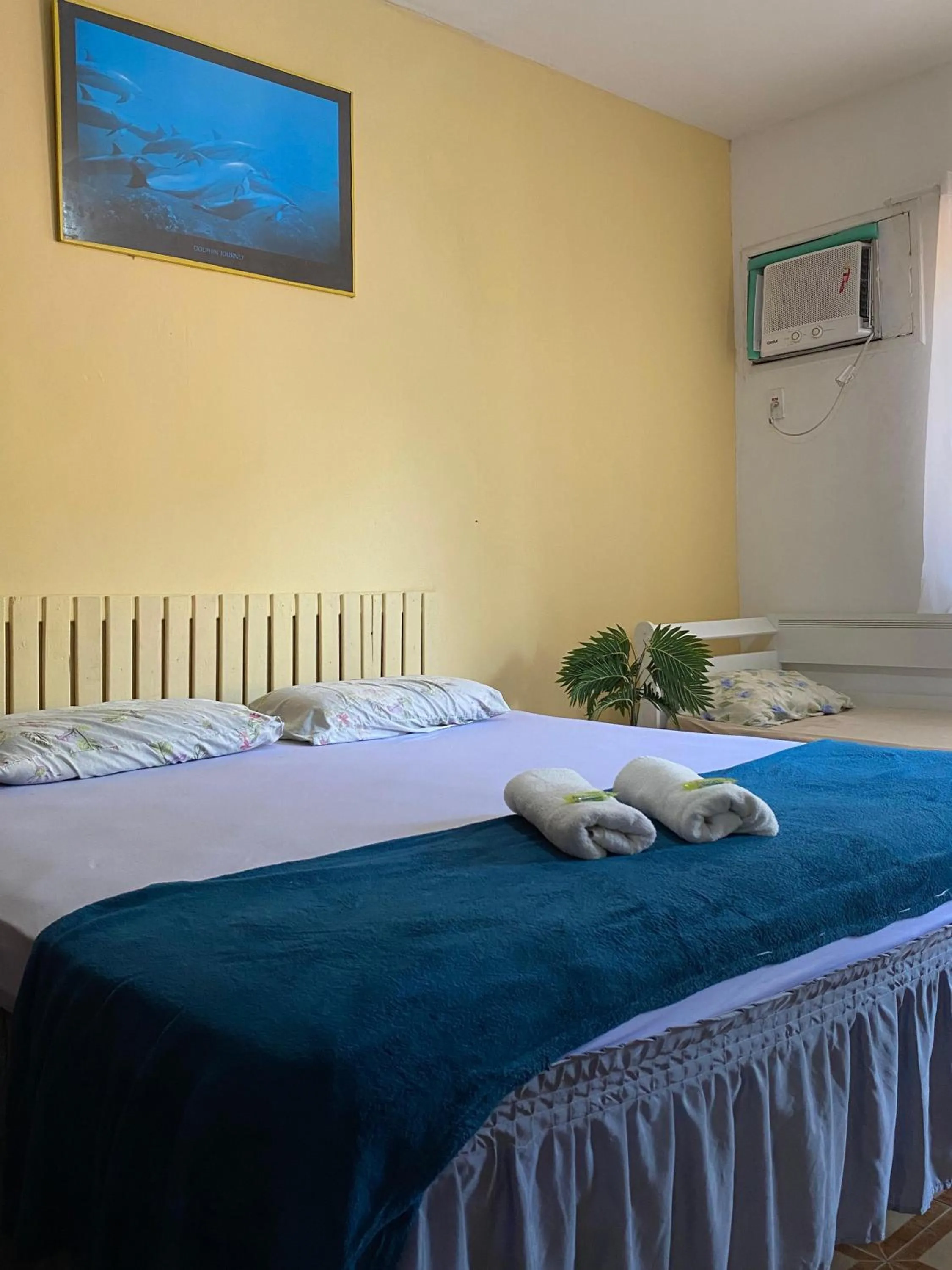 Superior Suite in Hostel Rio Surf House