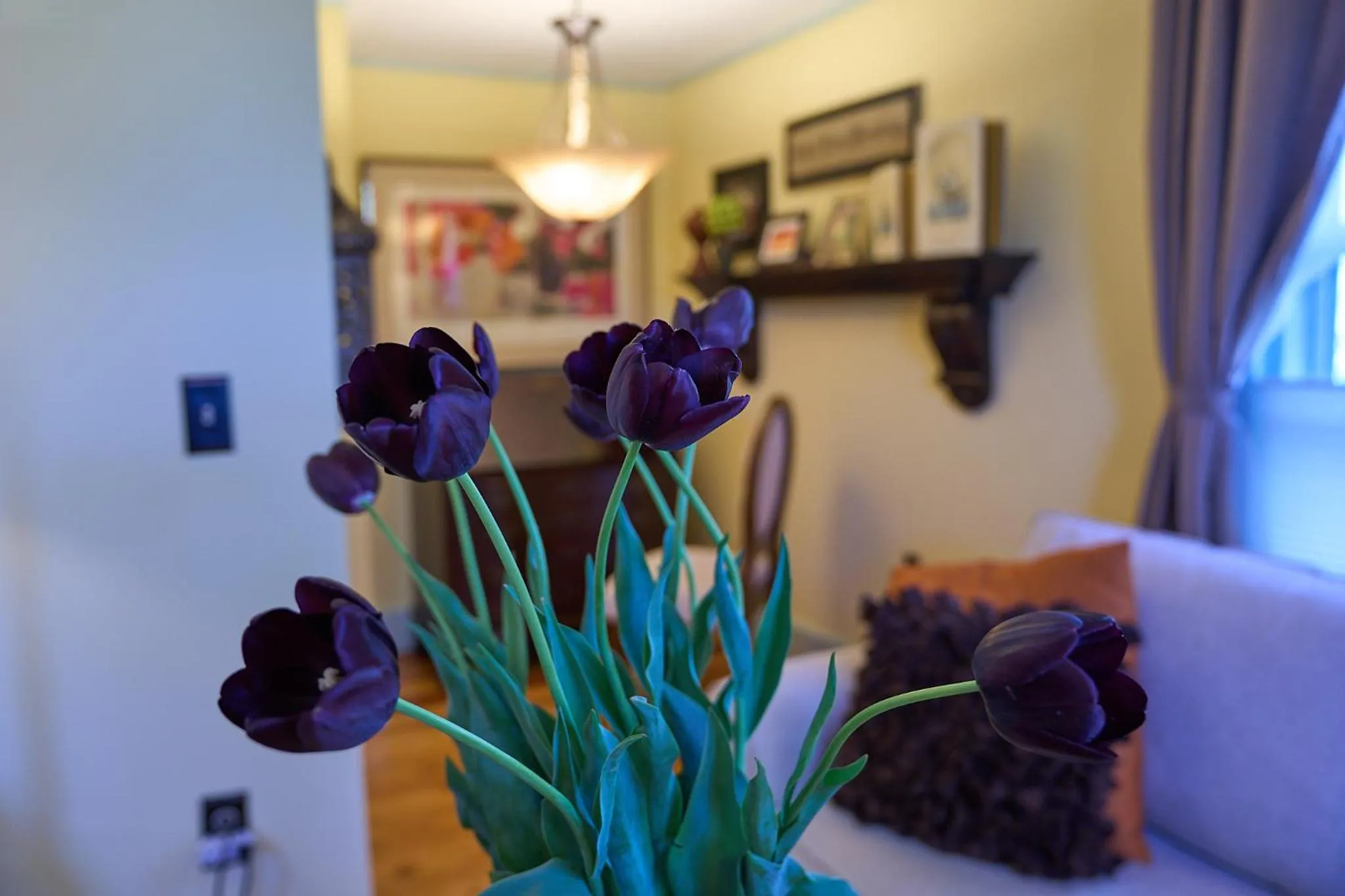 Scranton Seahorse Inn