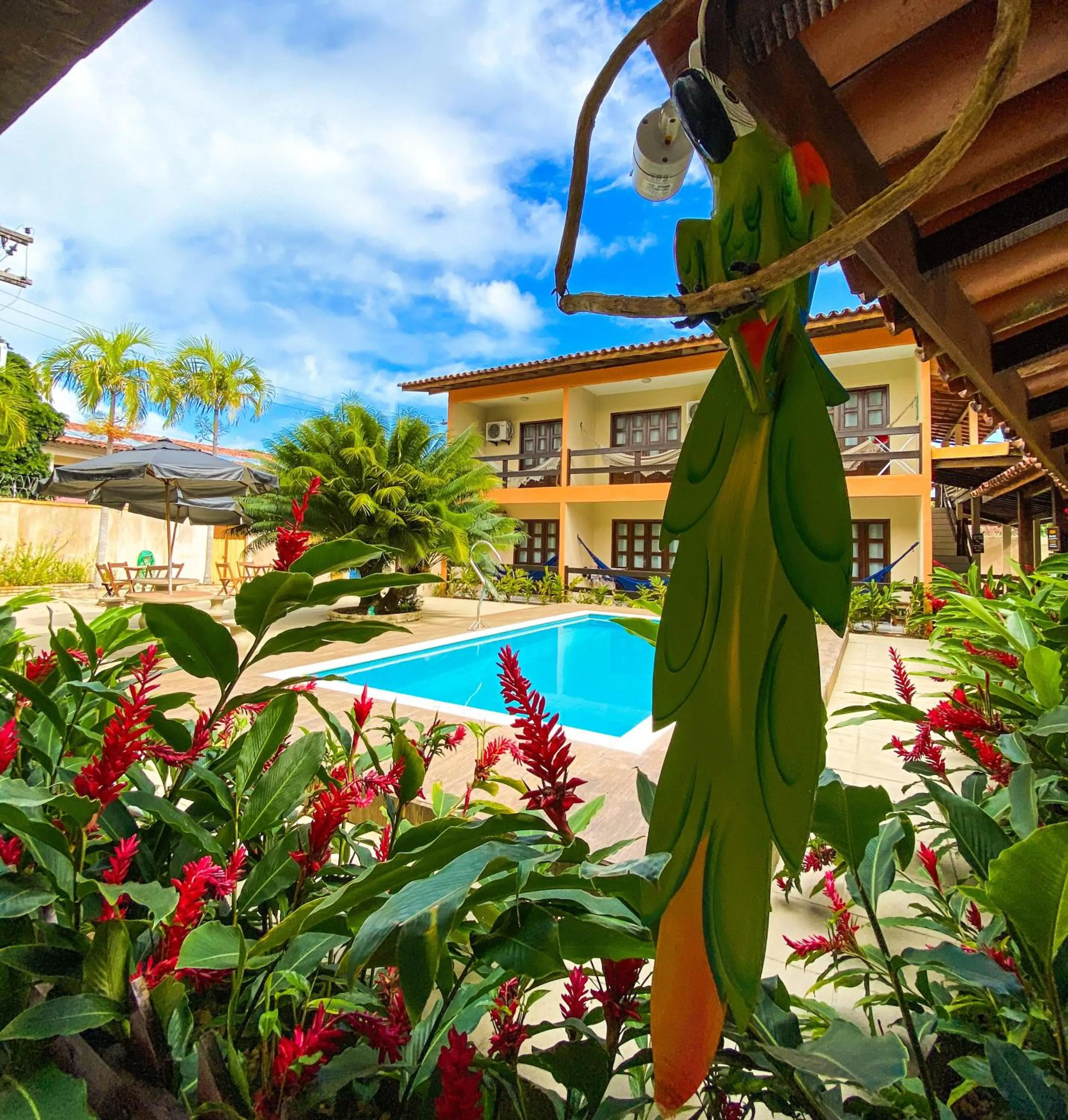 Swimming pool in Hotel Malibu
