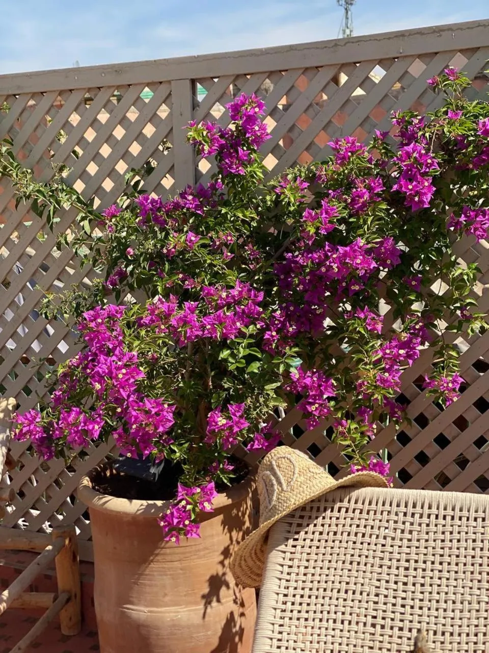 Balcony/Terrace in Riad Dollar Des Sables & Spa