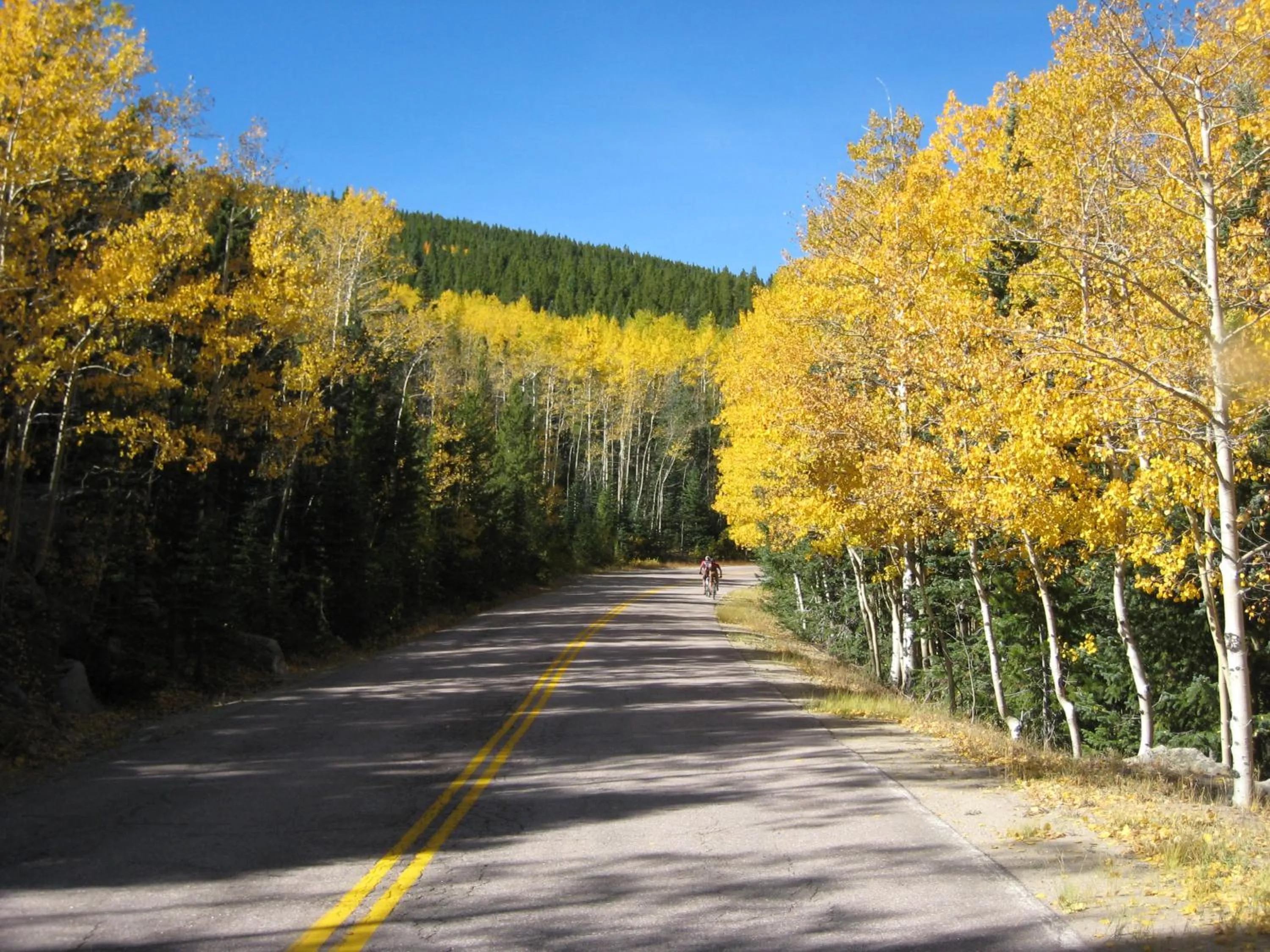 Natural landscape in Northwoods Resort Cabins