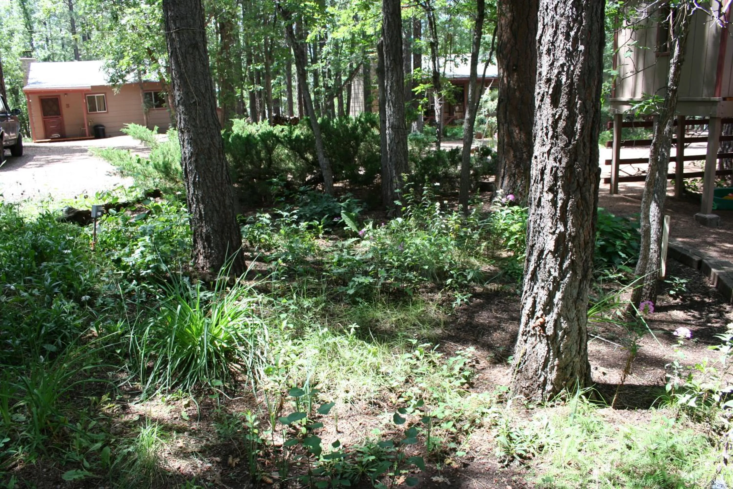View (from property/room) in Northwoods Resort Cabins